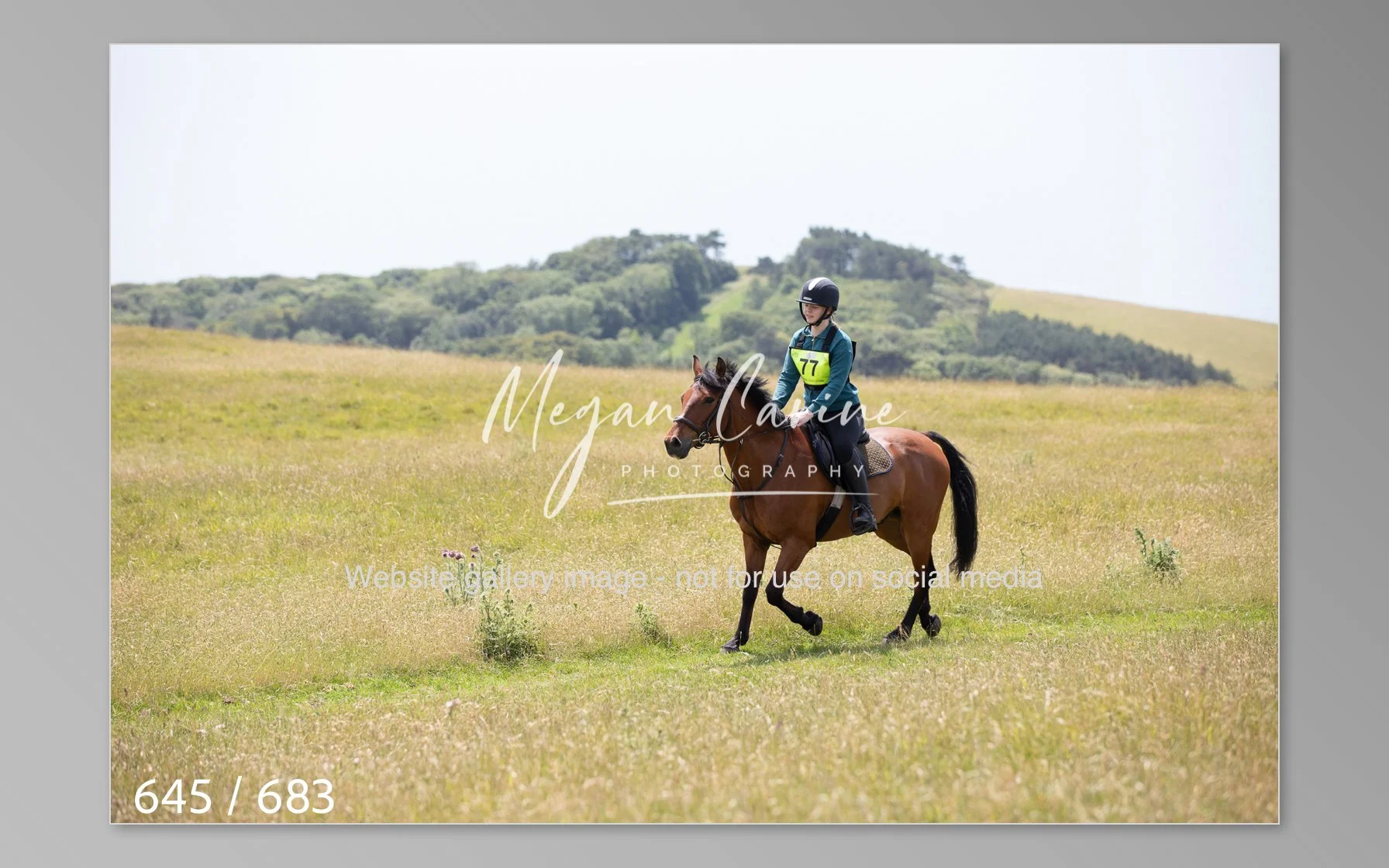 Abbotsbury-645.jpg