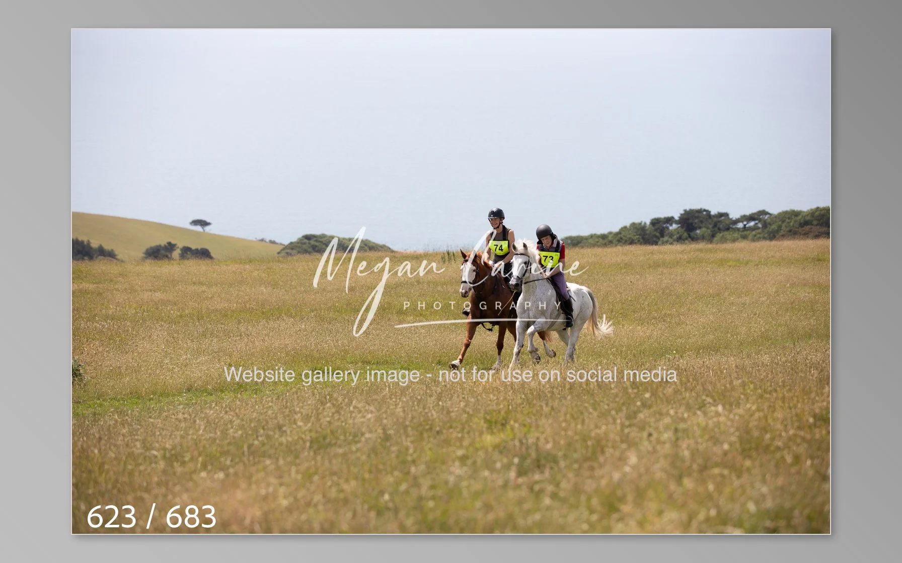 Abbotsbury-623.jpg