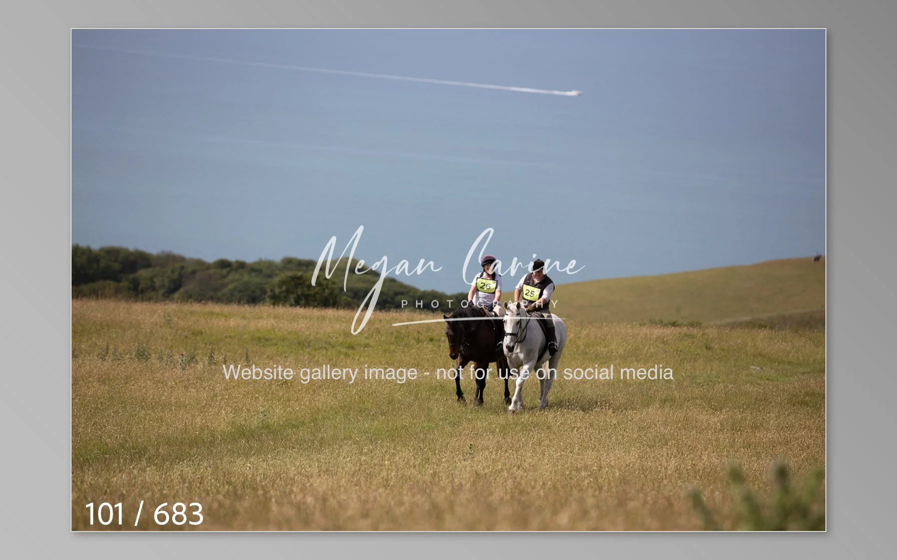 Abbotsbury-101.jpg