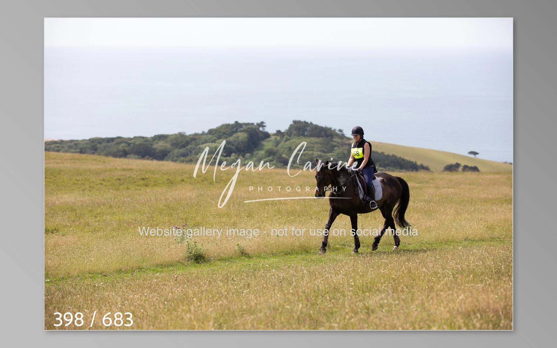 Abbotsbury-398.jpg