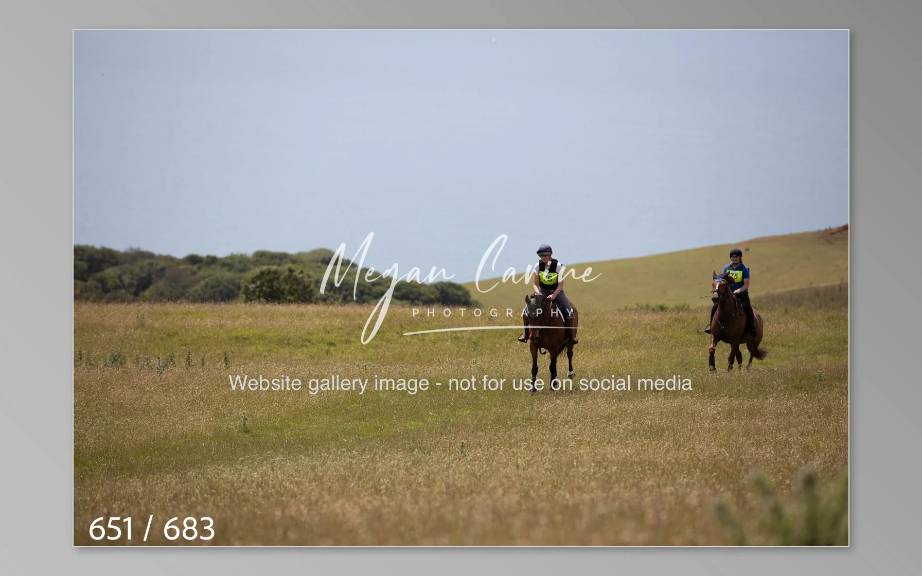 Abbotsbury-651.jpg