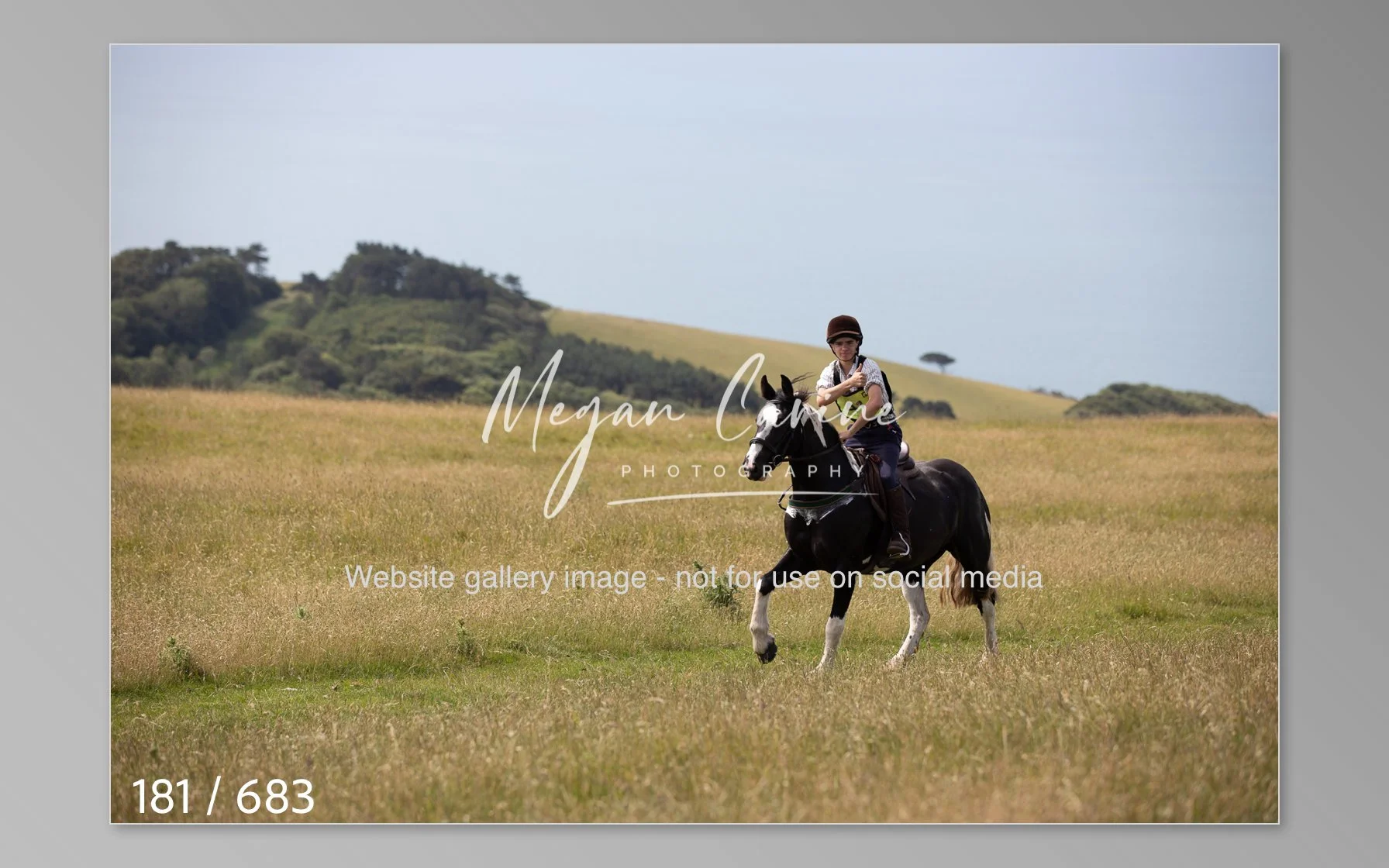 Abbotsbury-181.jpg