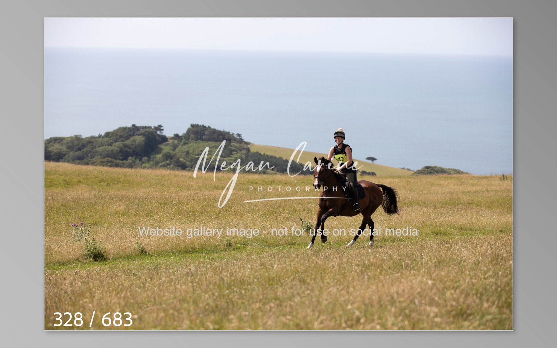 Abbotsbury-328.jpg