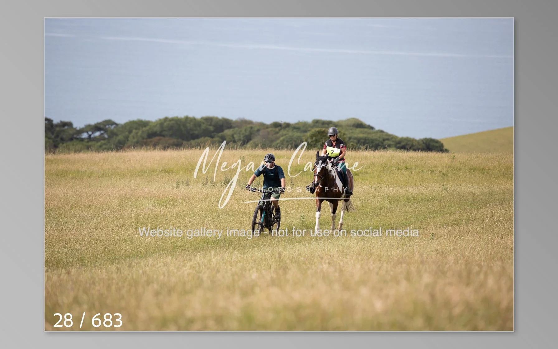 Abbotsbury-028.jpg