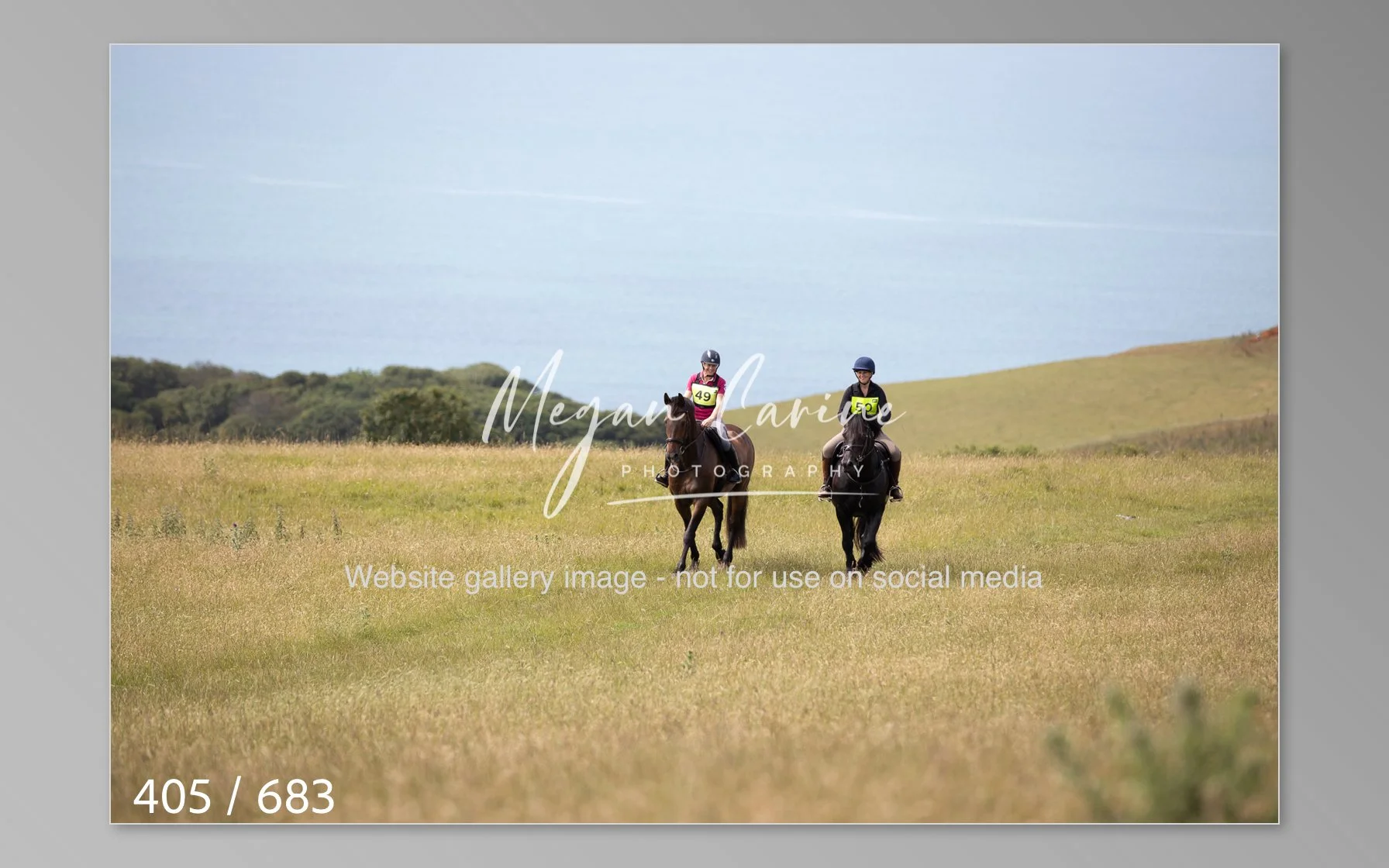 Abbotsbury-405.jpg