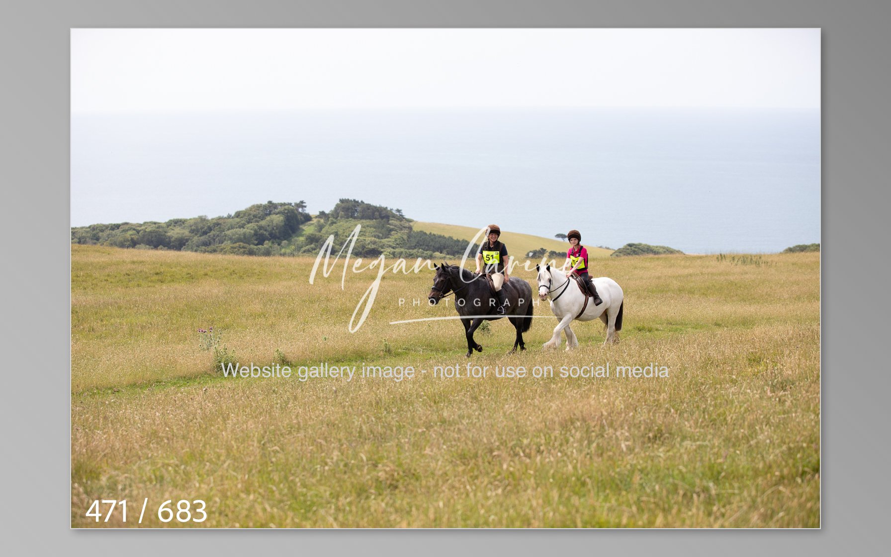 Abbotsbury-471.jpg
