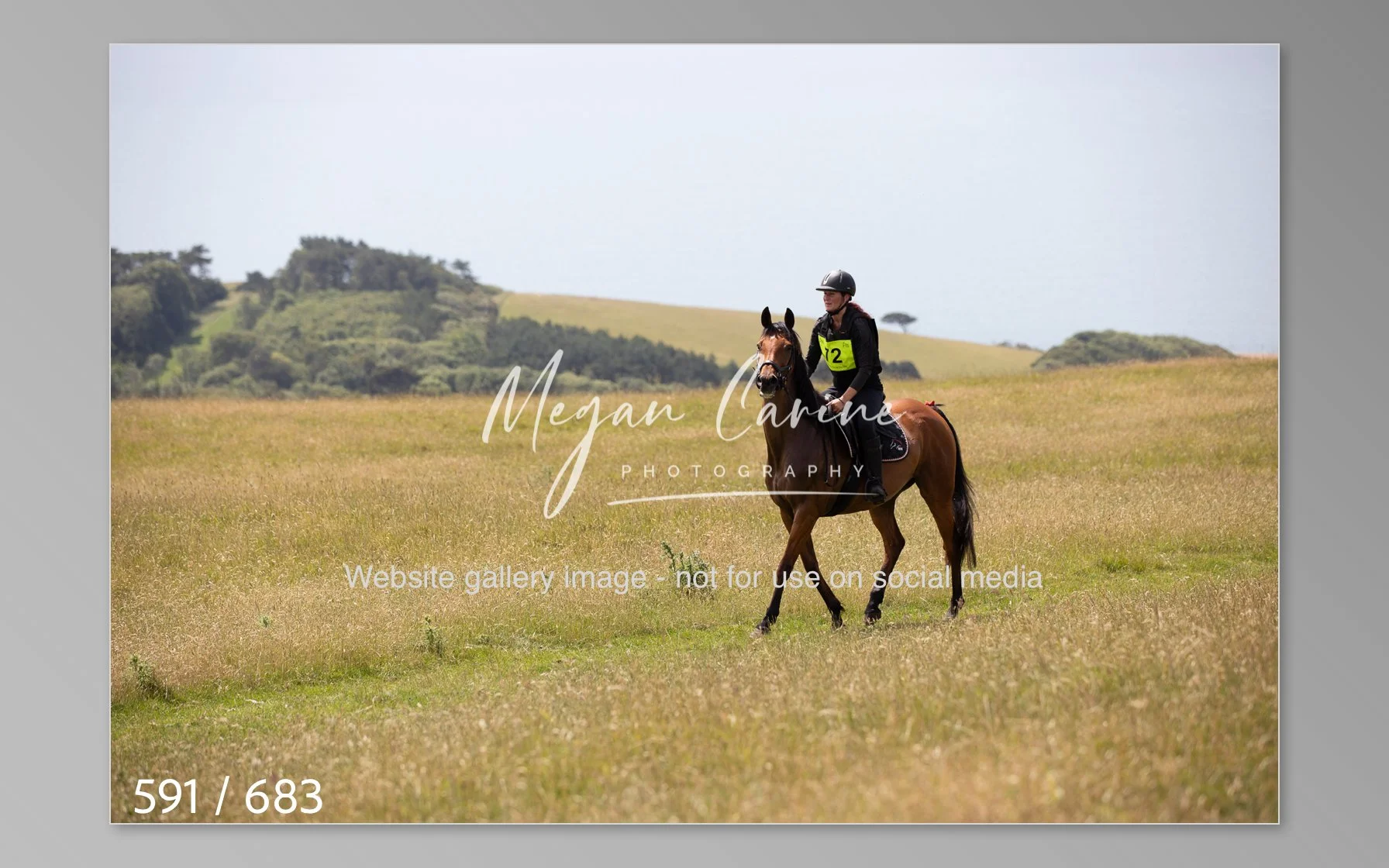 Abbotsbury-591.jpg