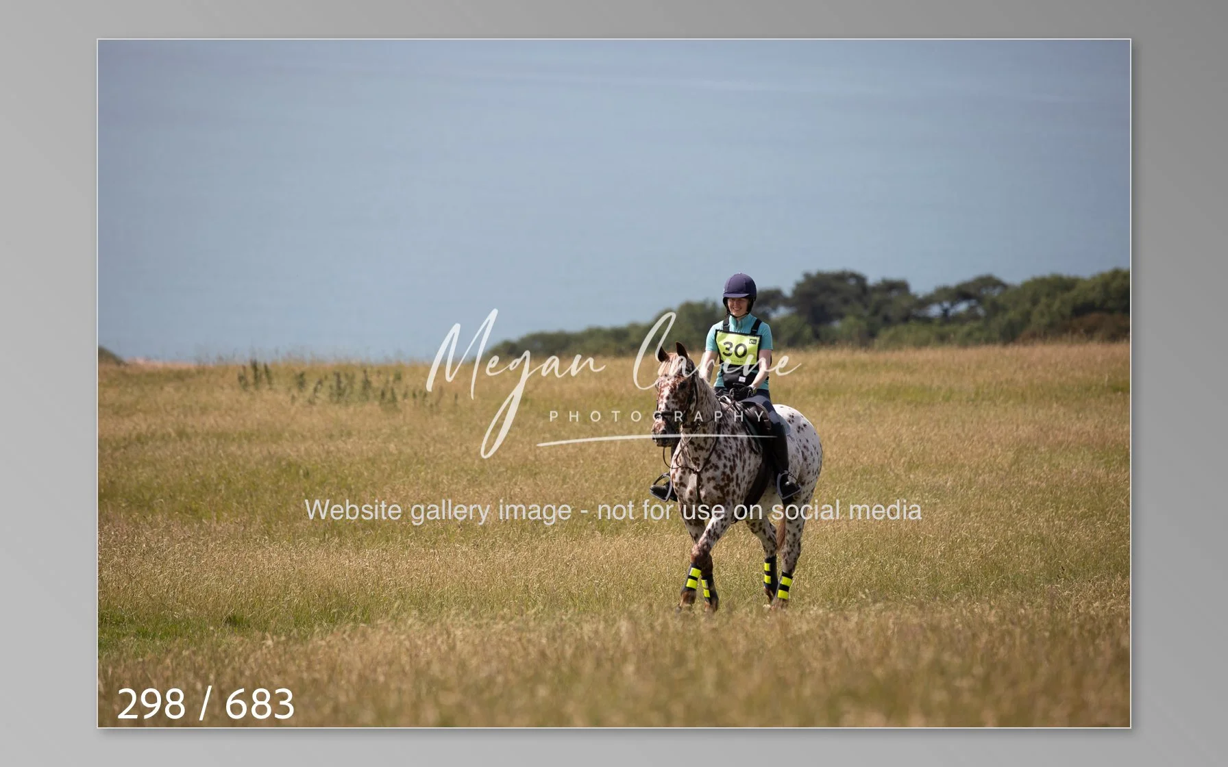 Abbotsbury-298.jpg