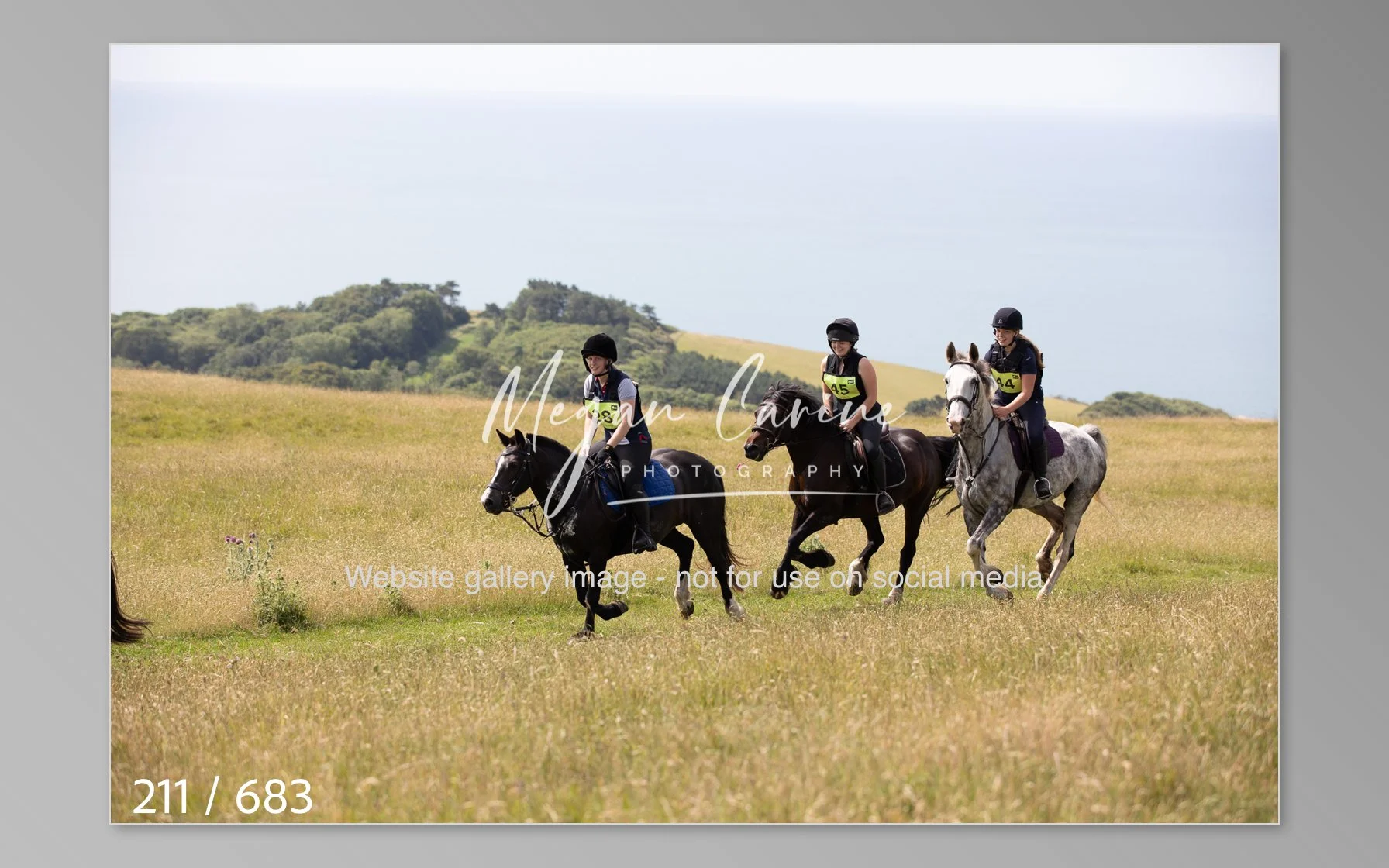 Abbotsbury-211.jpg