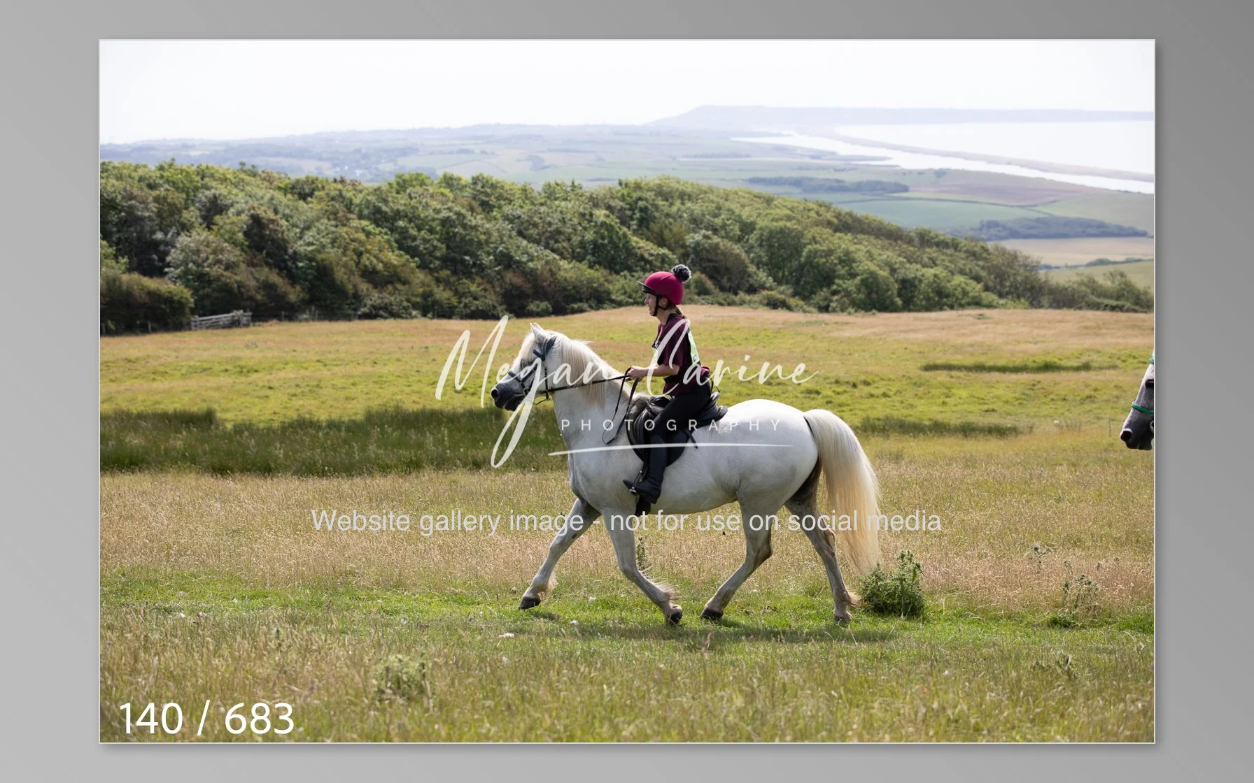 Abbotsbury-140.jpg