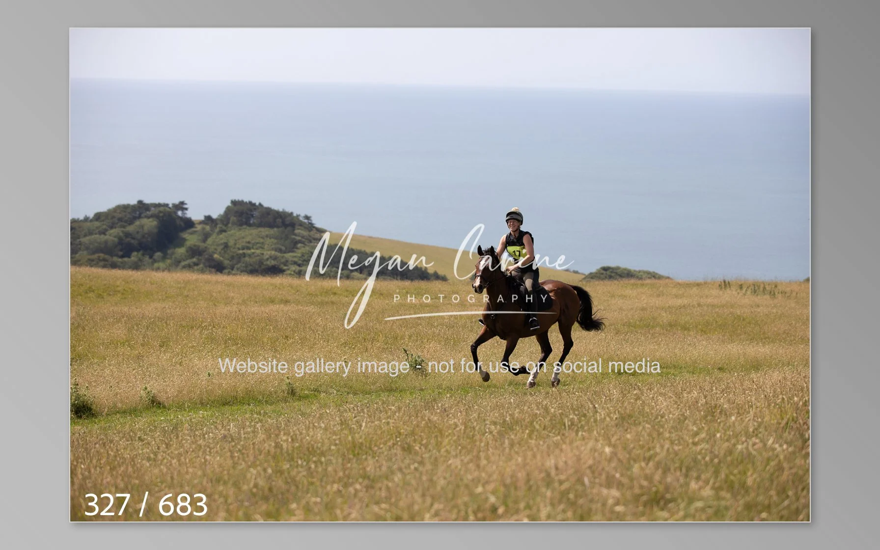 Abbotsbury-327.jpg