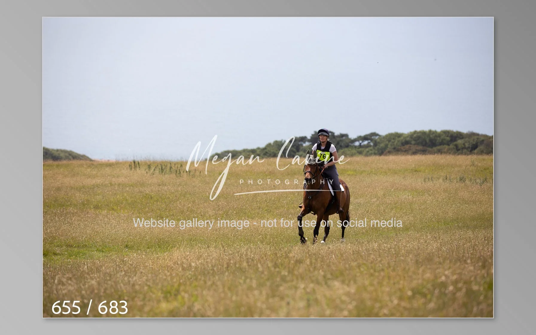 Abbotsbury-655.jpg