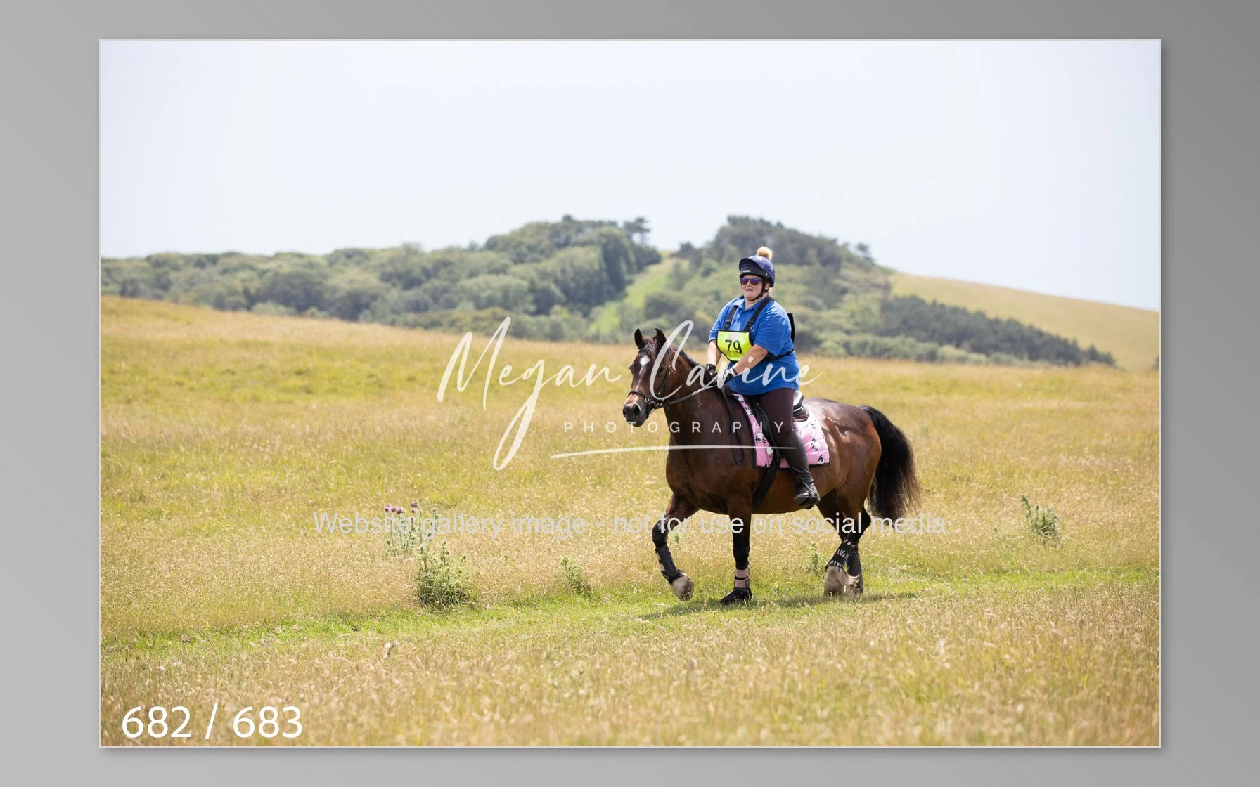 Abbotsbury-682.jpg