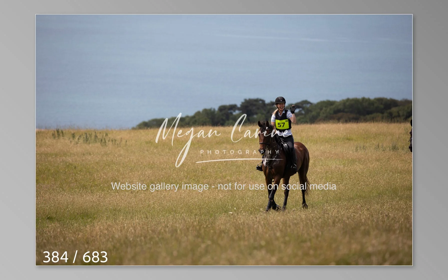 Abbotsbury-384.jpg