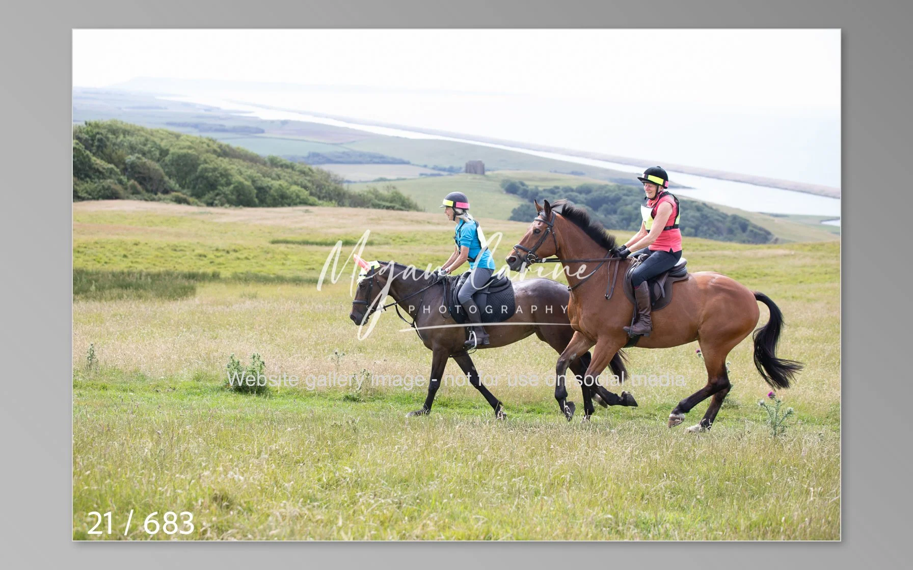 Abbotsbury-021.jpg
