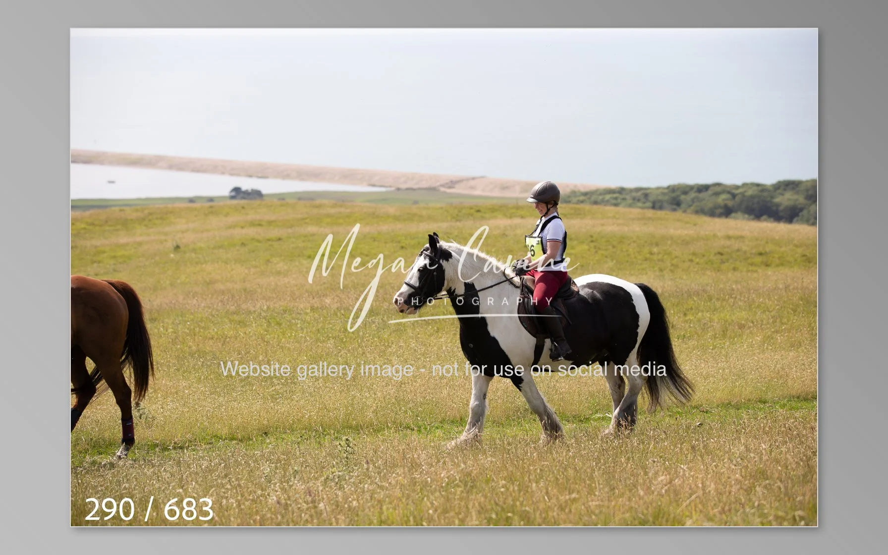 Abbotsbury-290.jpg