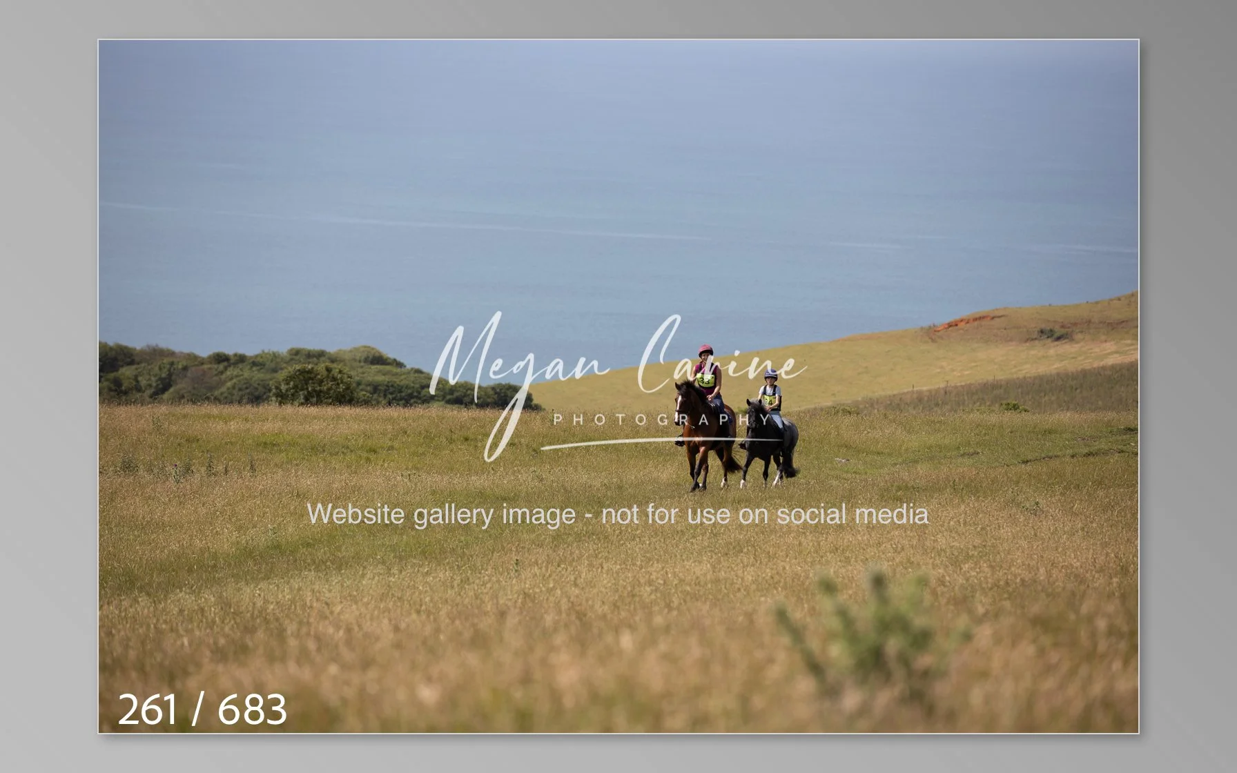 Abbotsbury-261.jpg