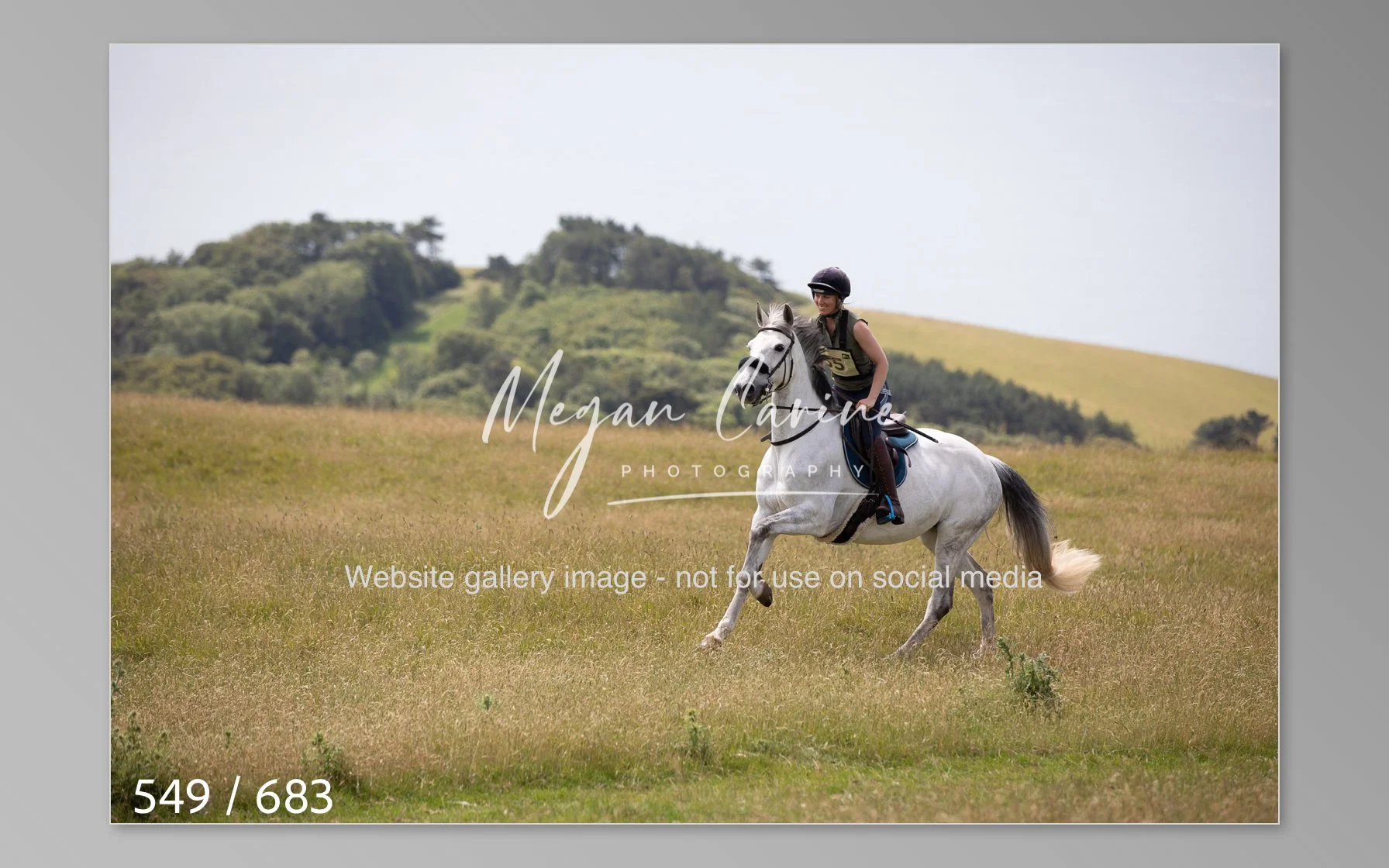 Abbotsbury-549.jpg