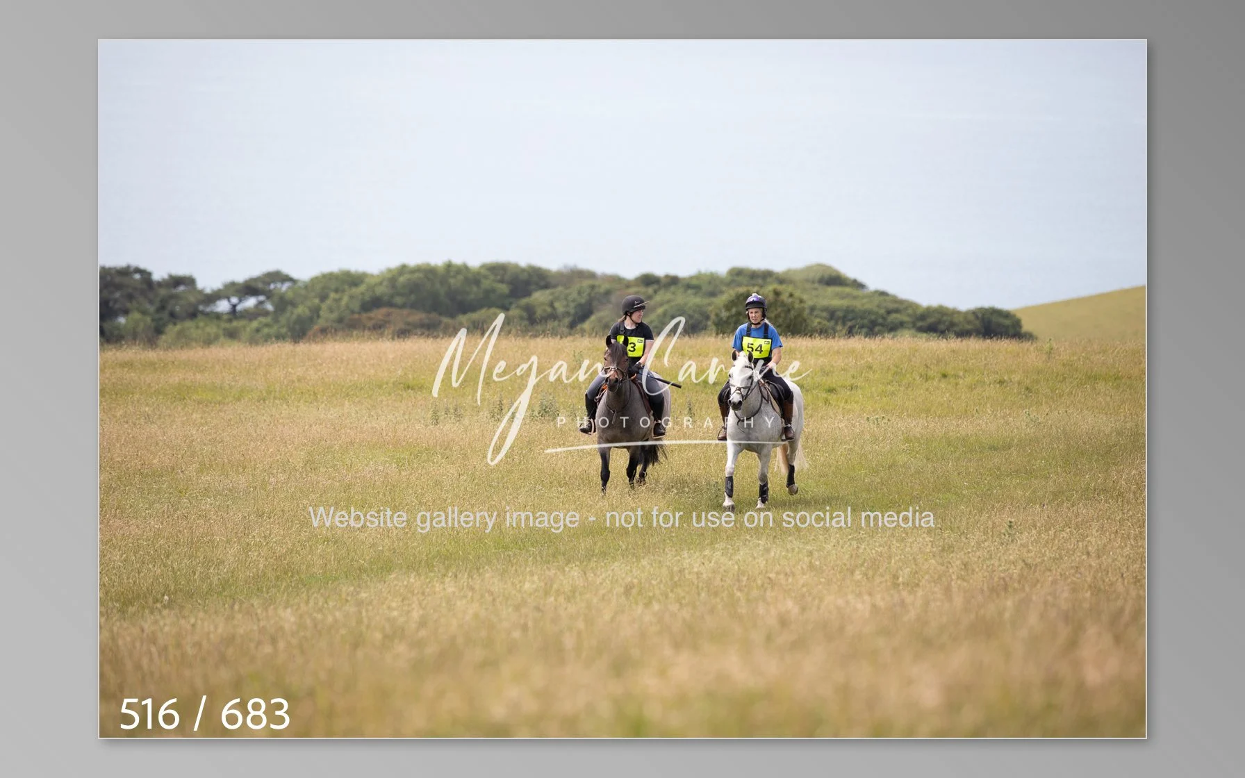 Abbotsbury-516.jpg