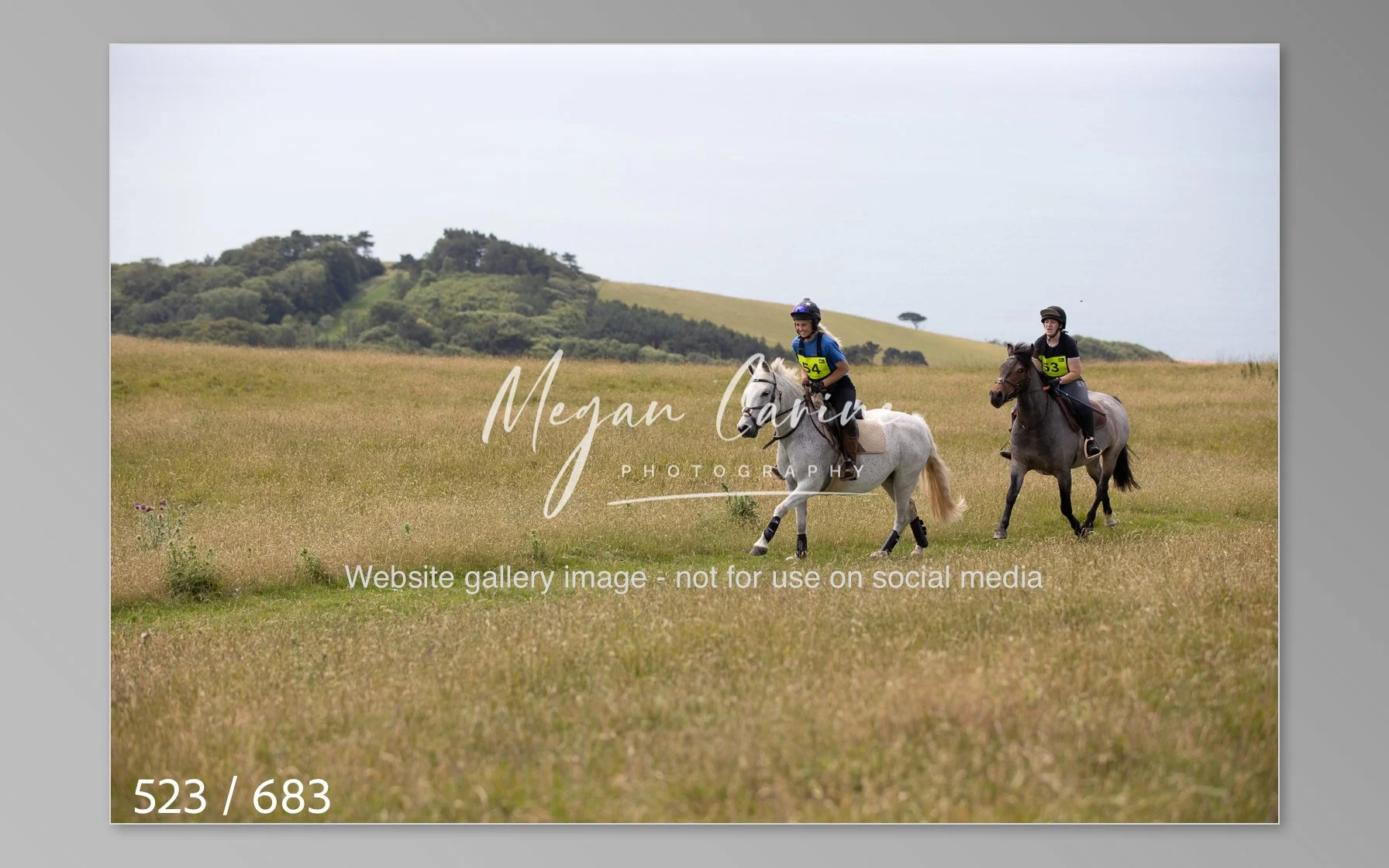 Abbotsbury-523.jpg