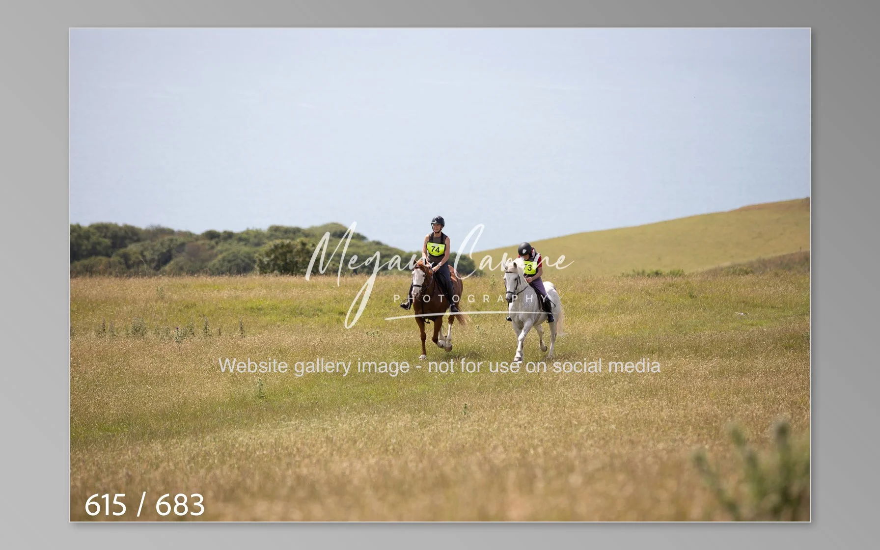 Abbotsbury-615.jpg