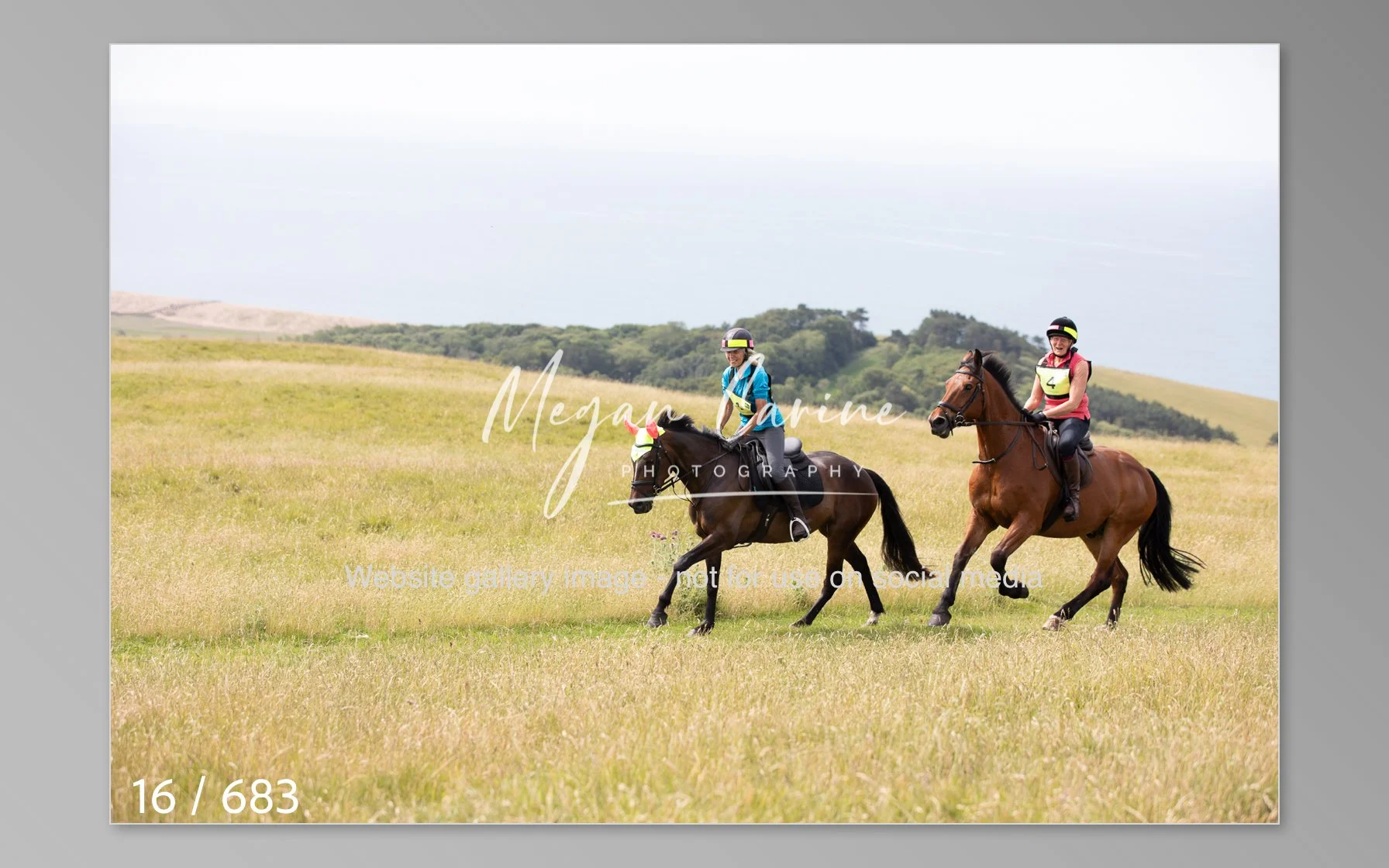 Abbotsbury-016.jpg