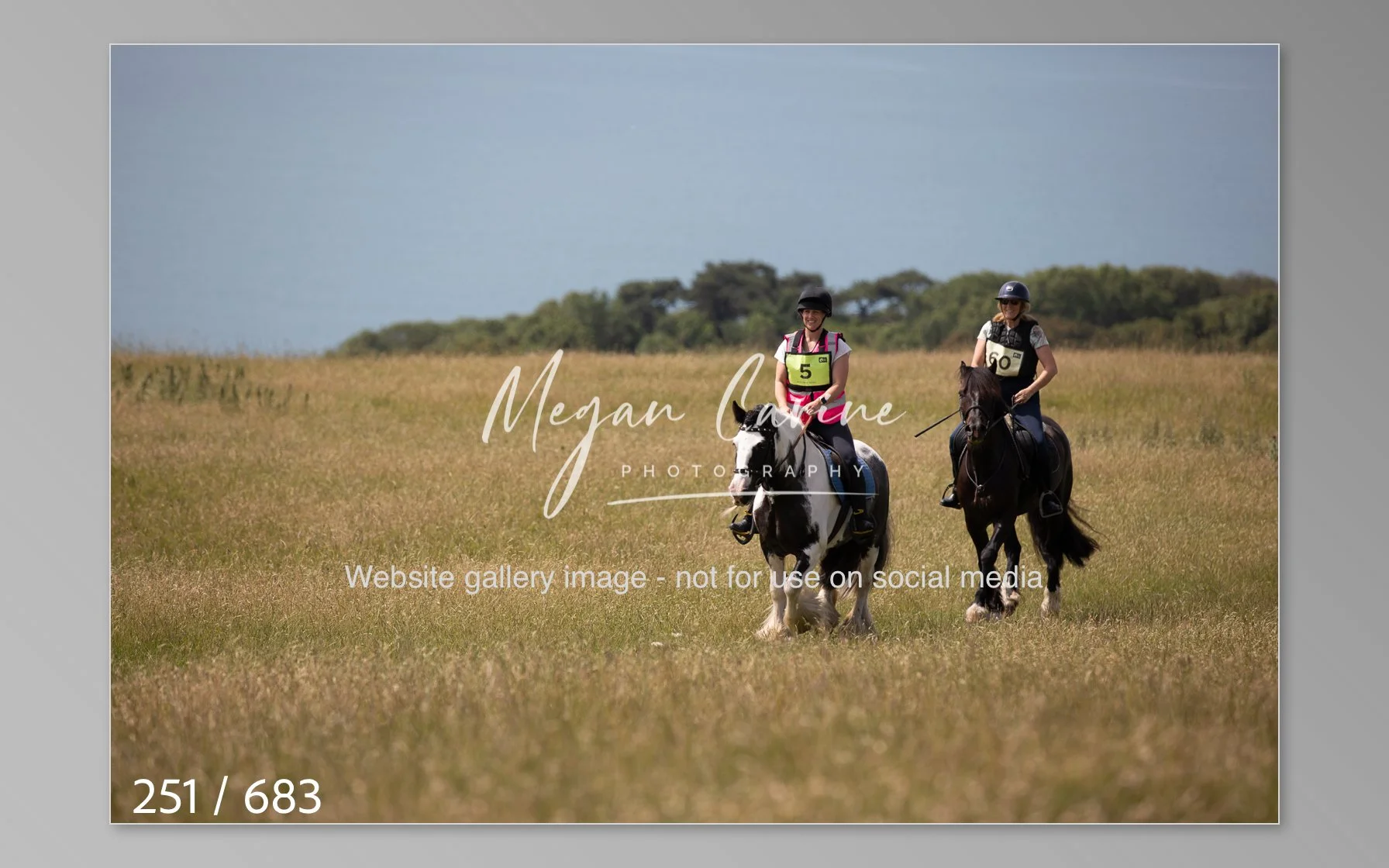 Abbotsbury-251.jpg