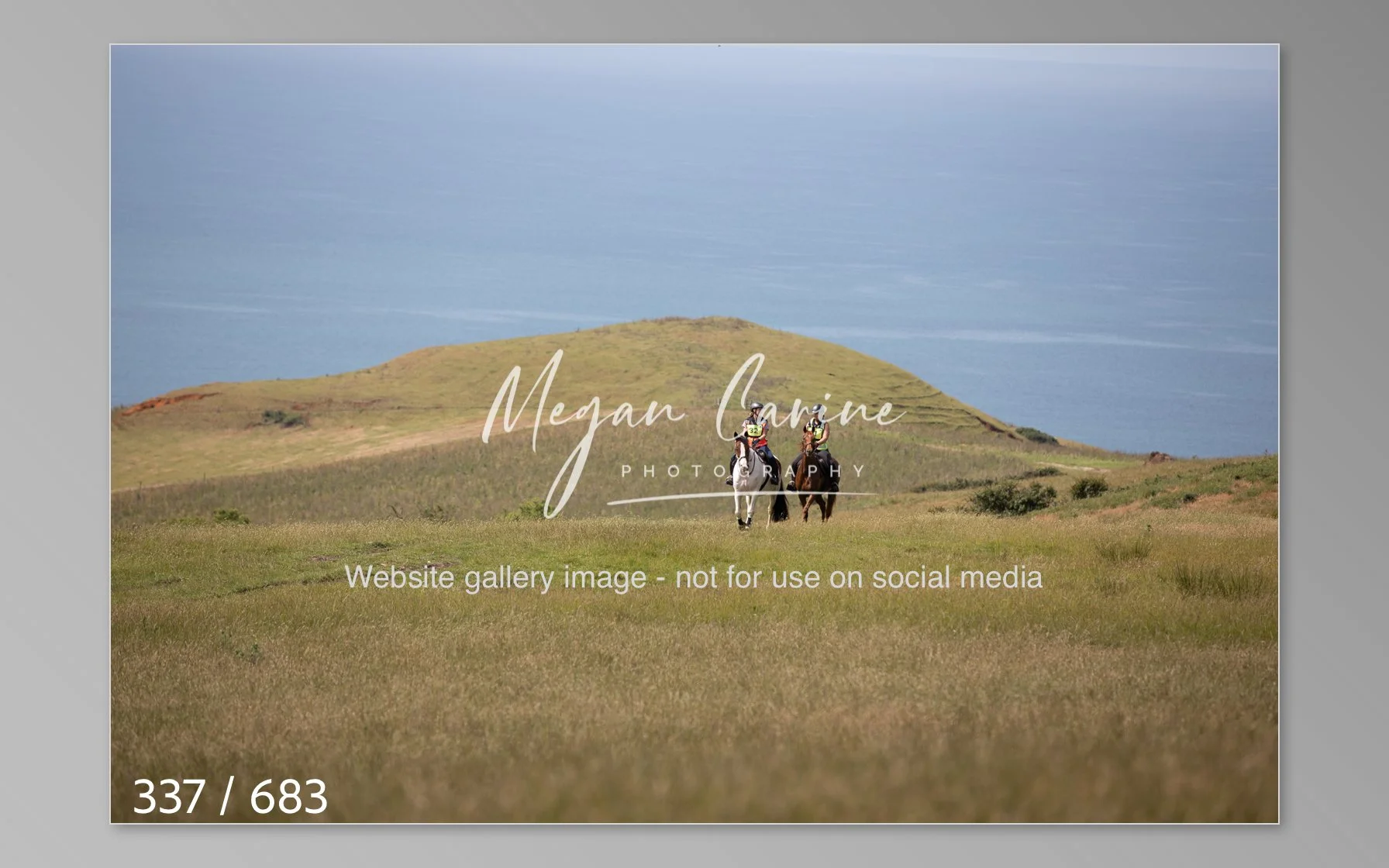 Abbotsbury-337.jpg