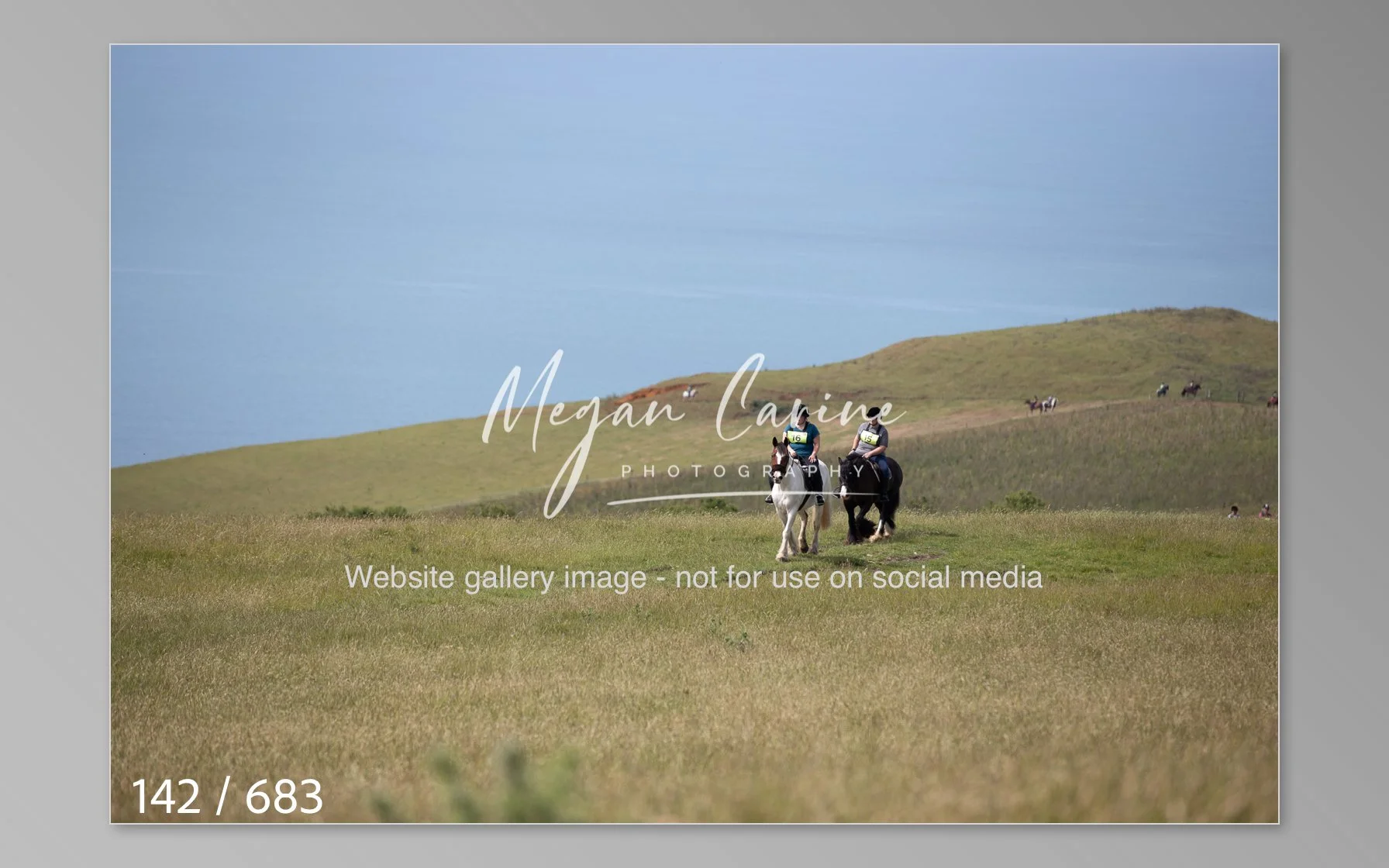 Abbotsbury-142.jpg