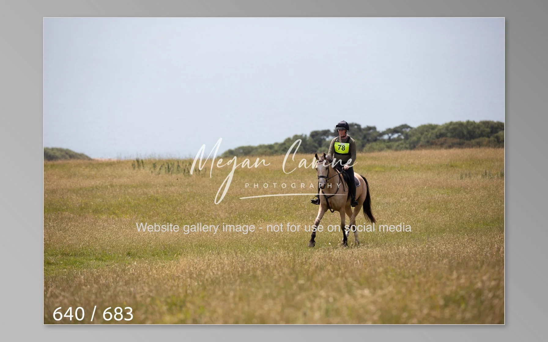 Abbotsbury-640.jpg