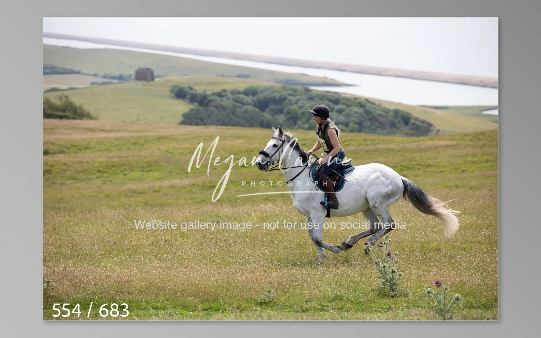 Abbotsbury-554.jpg