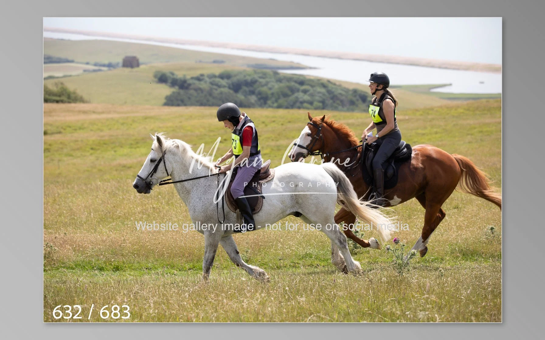Abbotsbury-632.jpg