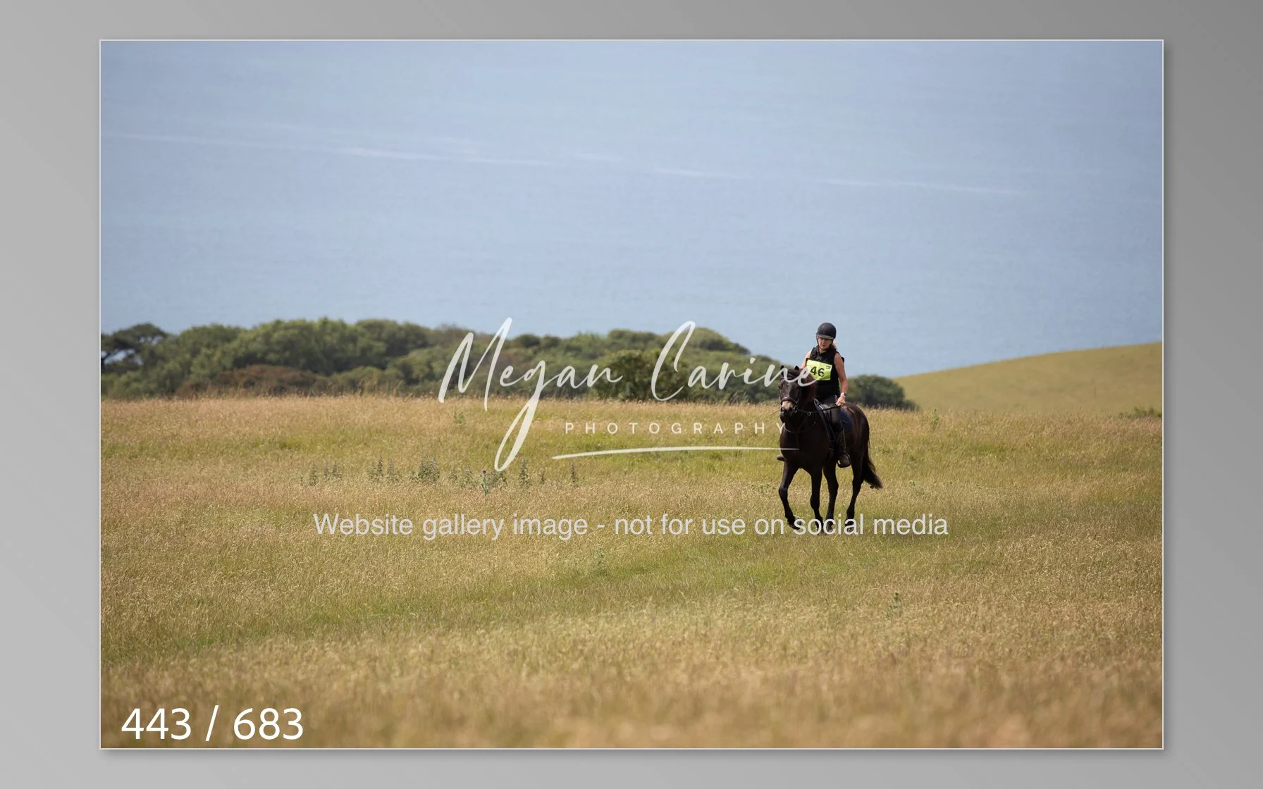 Abbotsbury-443.jpg