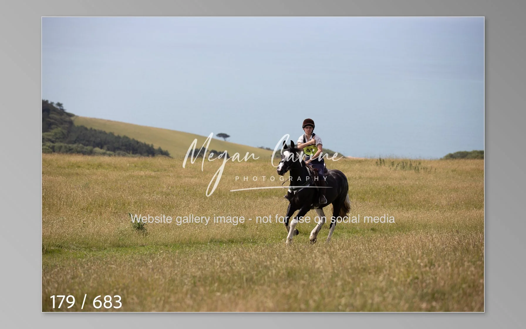 Abbotsbury-179.jpg