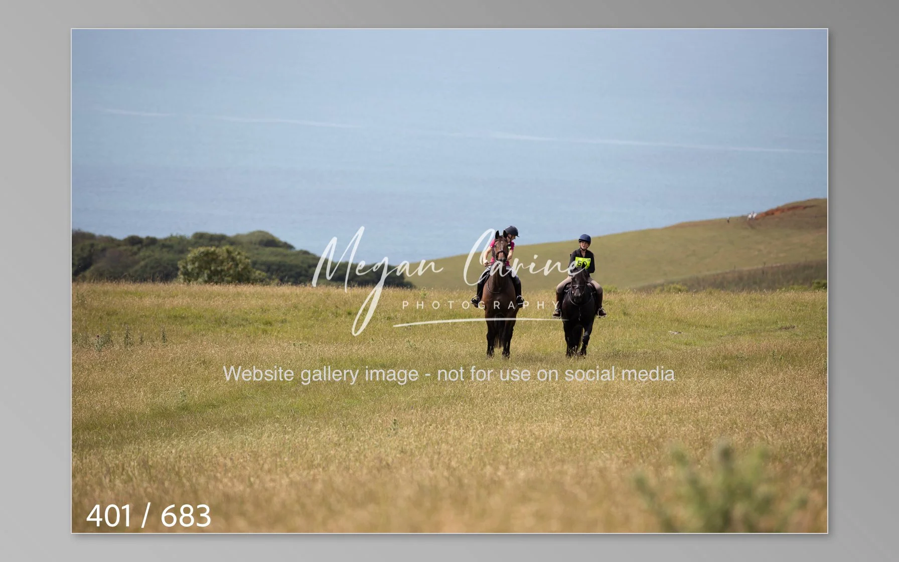 Abbotsbury-401.jpg