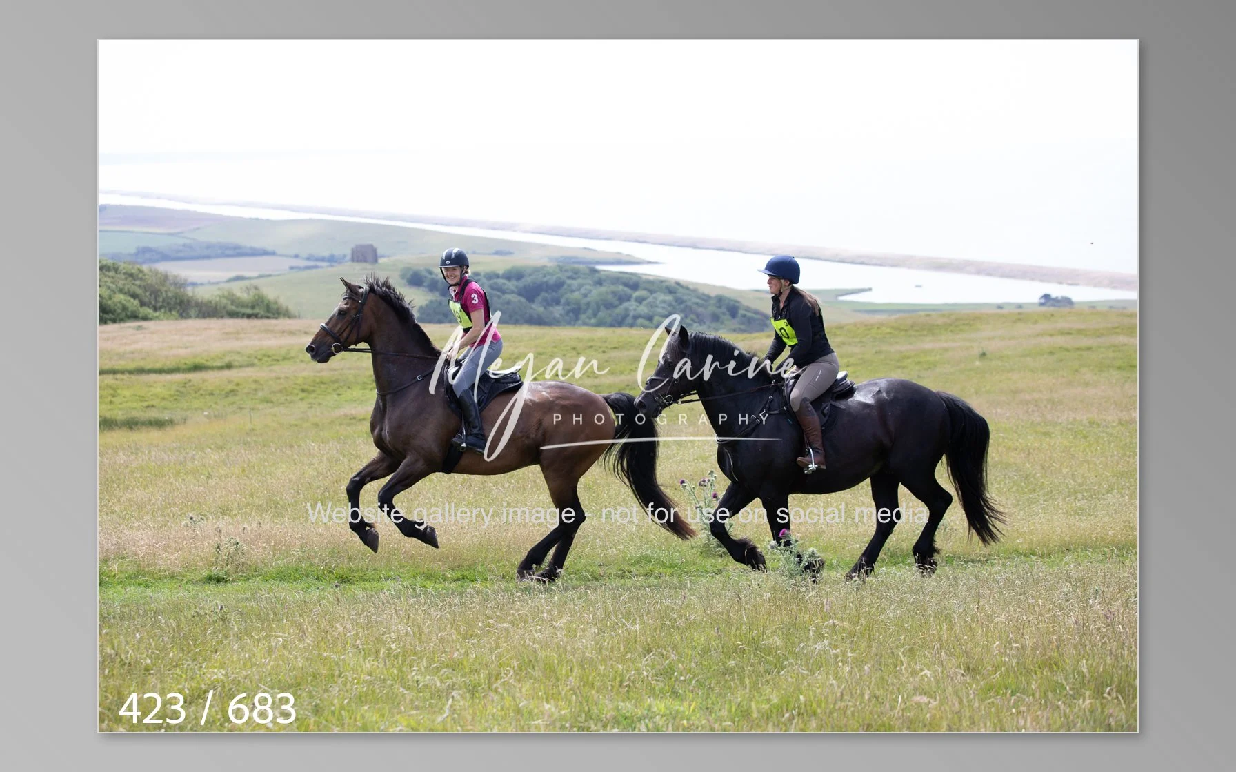 Abbotsbury-423.jpg