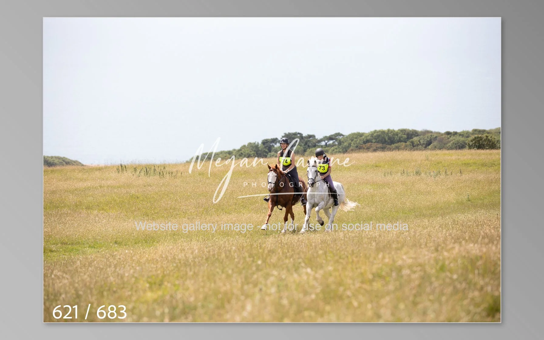 Abbotsbury-621.jpg