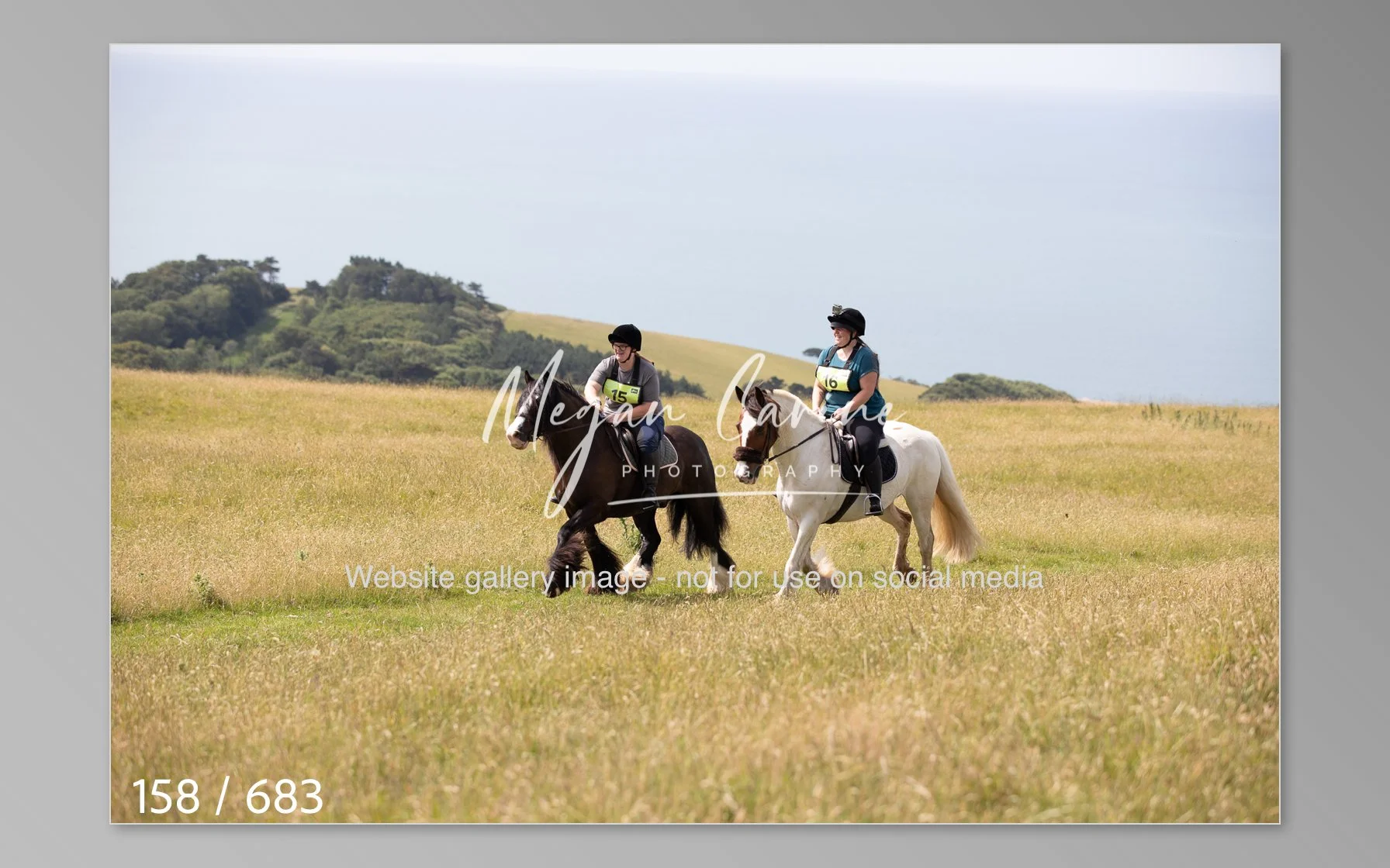 Abbotsbury-158.jpg