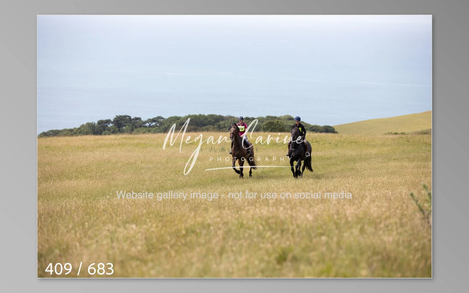 Abbotsbury-409.jpg