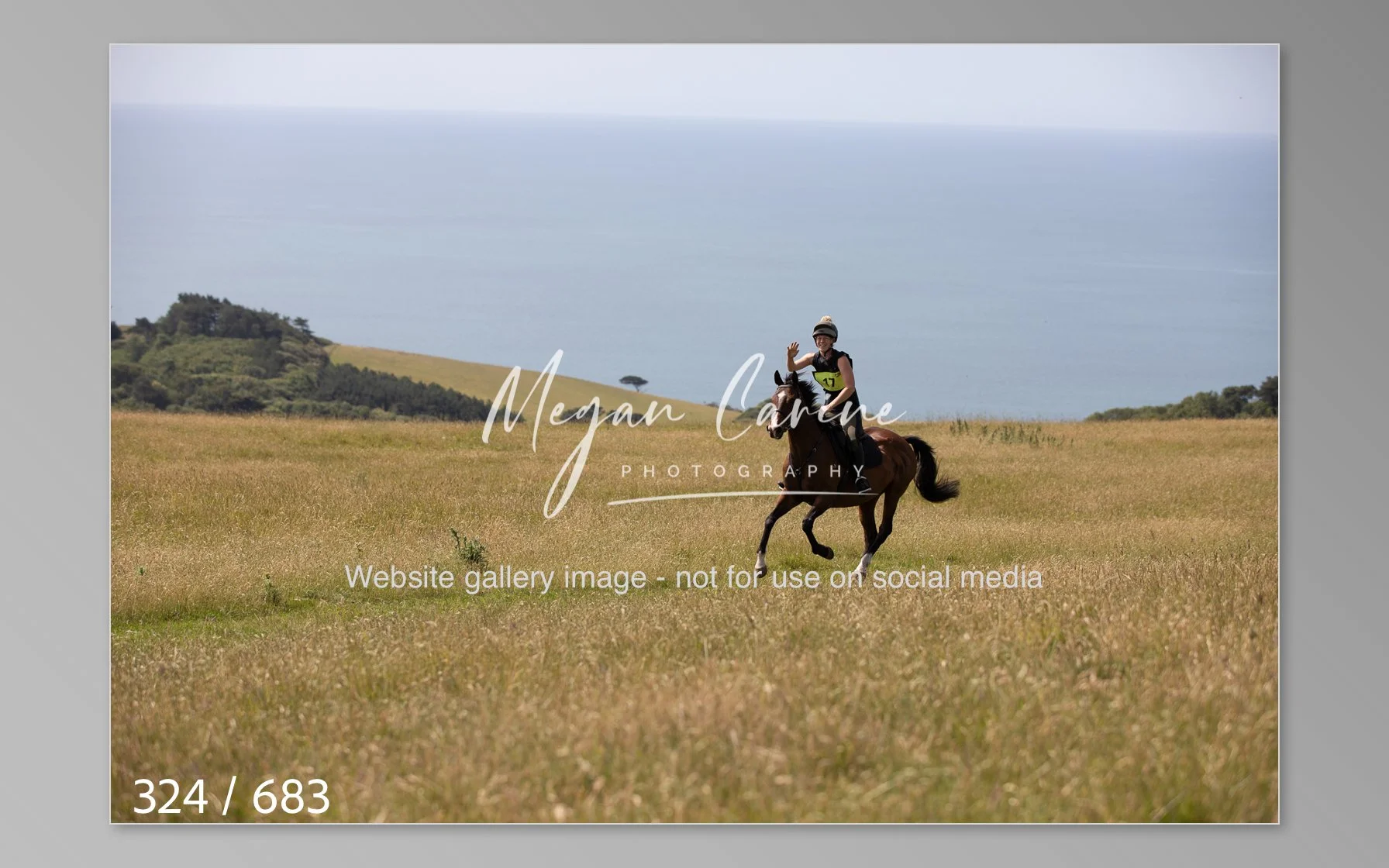 Abbotsbury-324.jpg