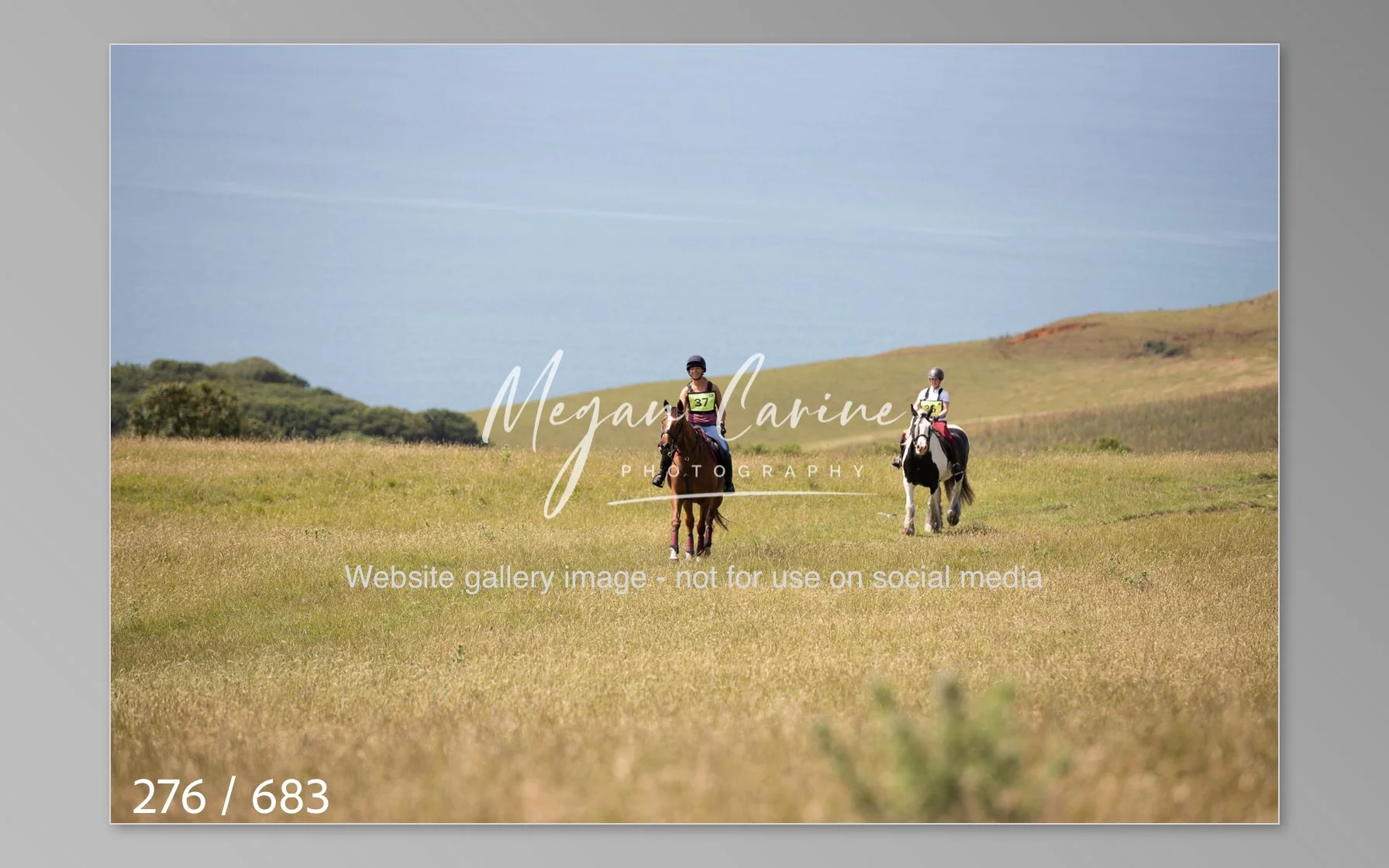 Abbotsbury-276.jpg
