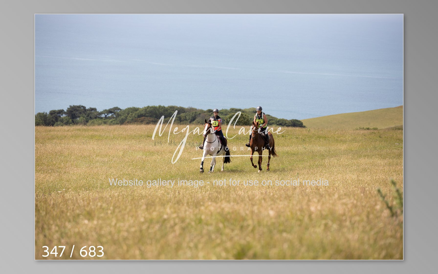 Abbotsbury-347.jpg