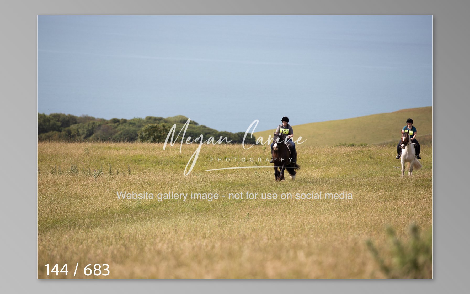 Abbotsbury-144.jpg