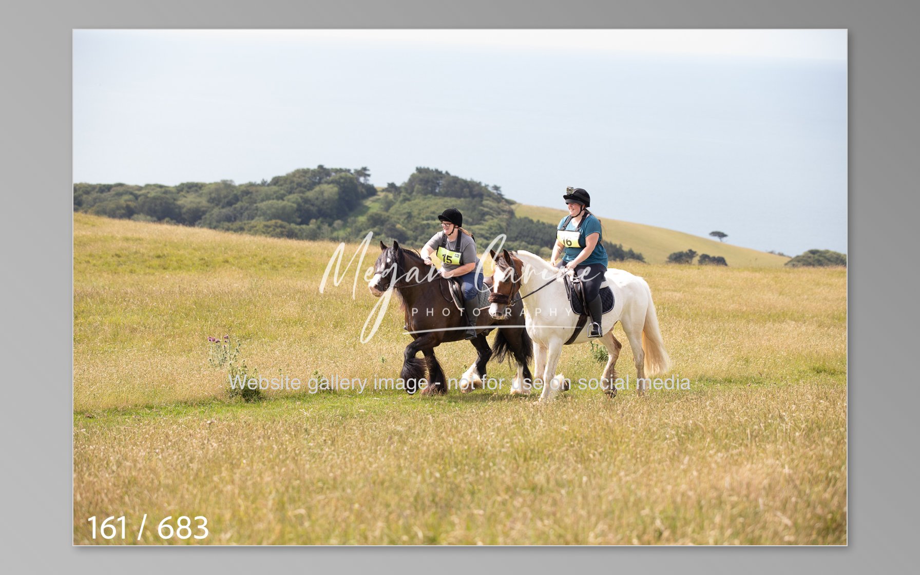 Abbotsbury-161.jpg