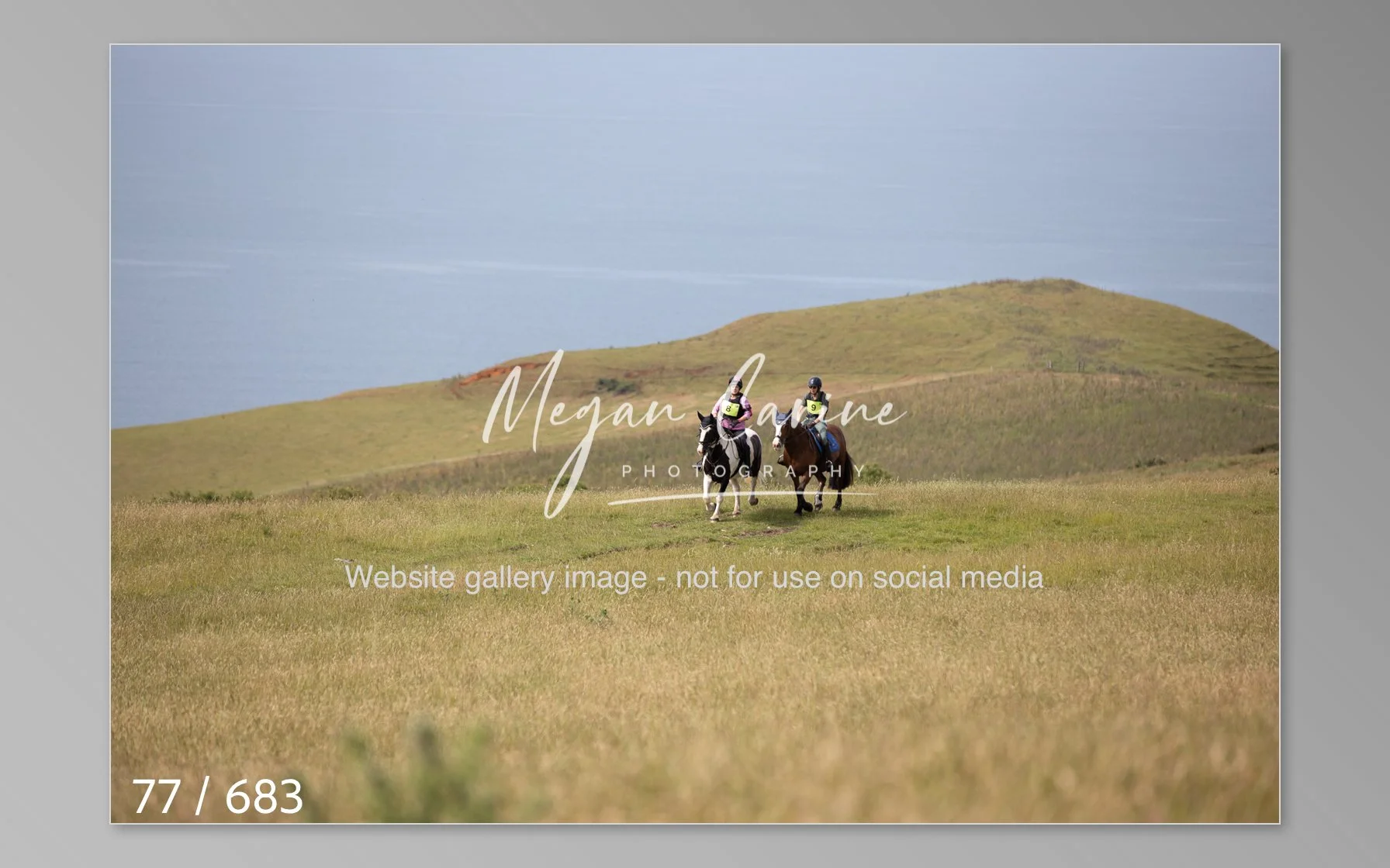 Abbotsbury-077.jpg