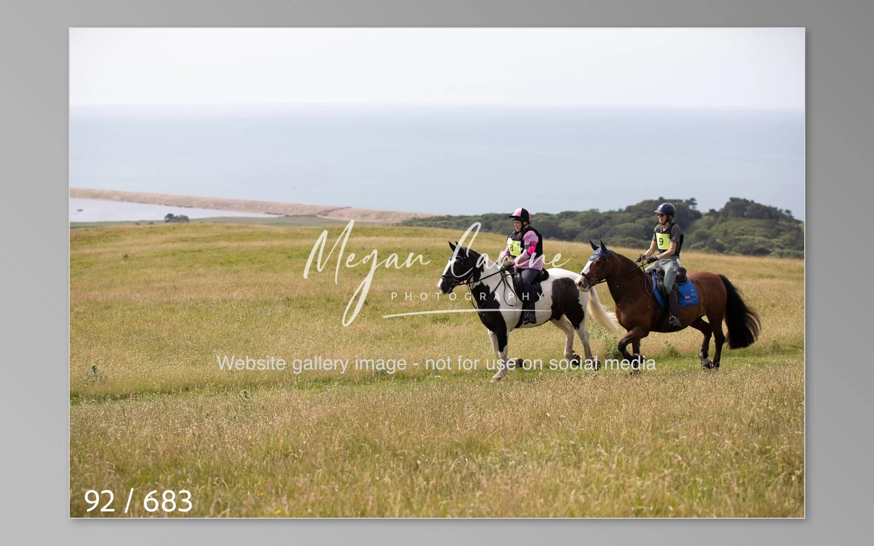 Abbotsbury-092.jpg
