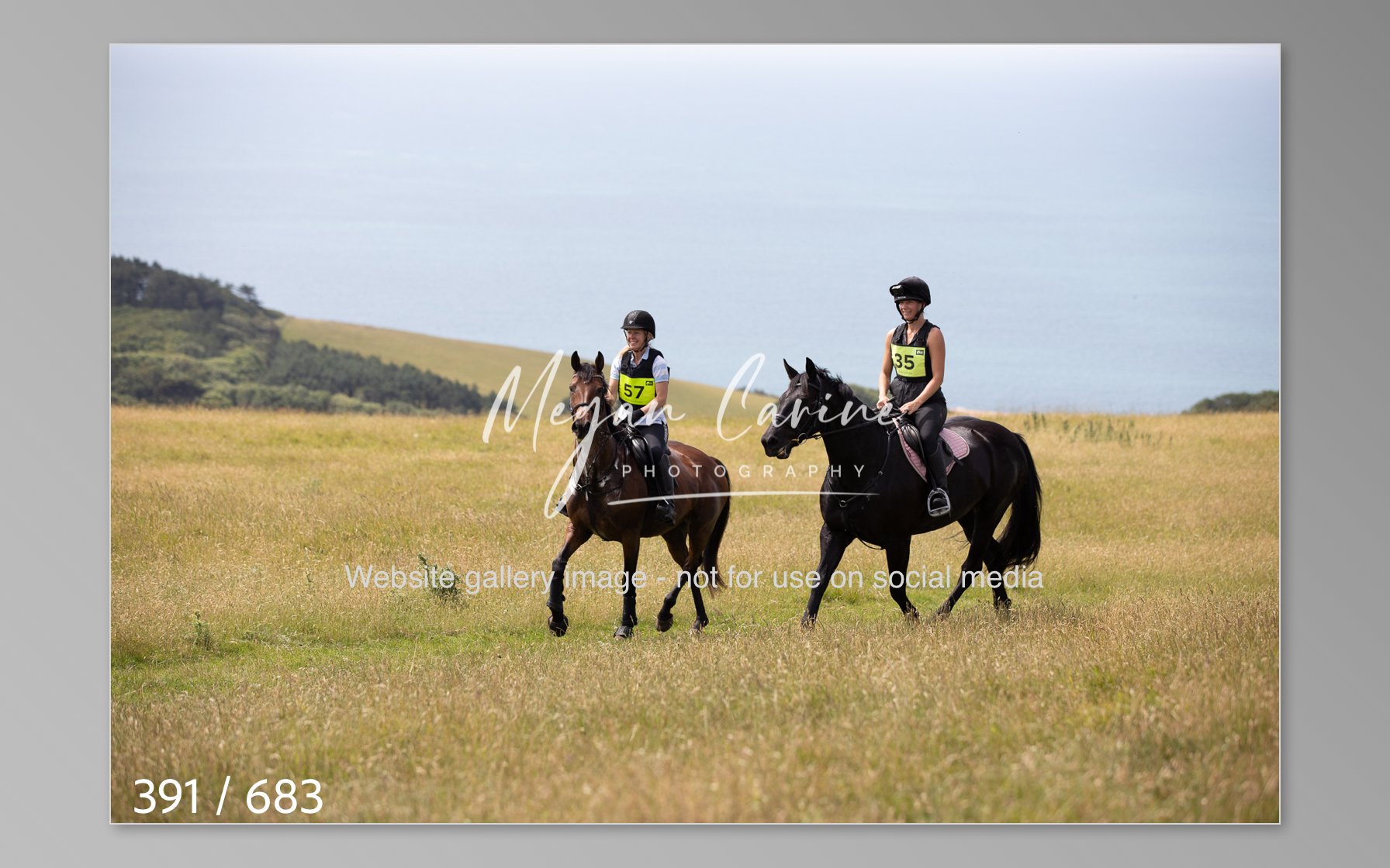 Abbotsbury-391.jpg