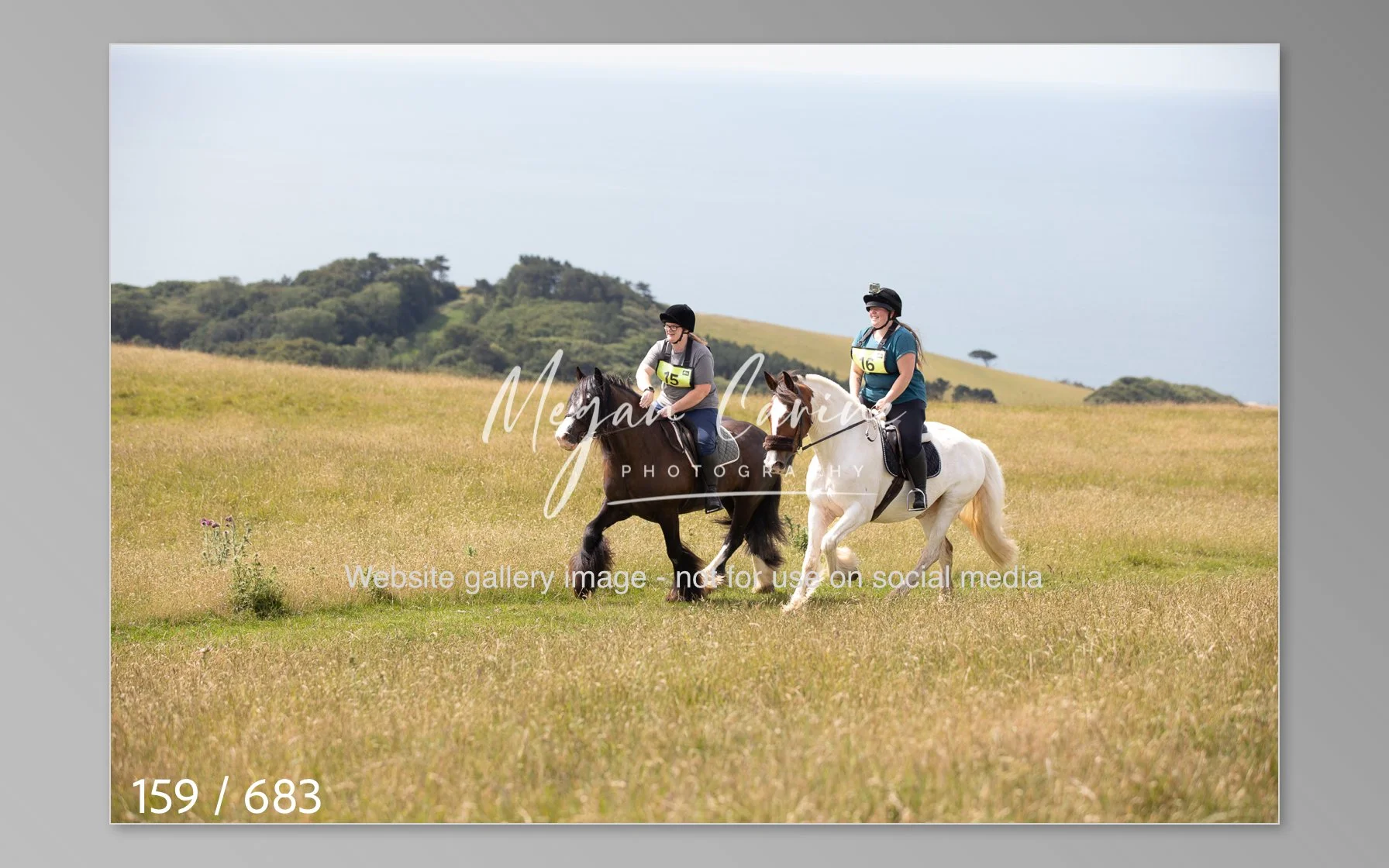 Abbotsbury-159.jpg