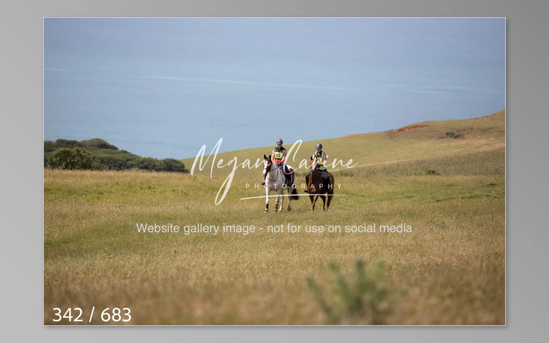 Abbotsbury-342.jpg