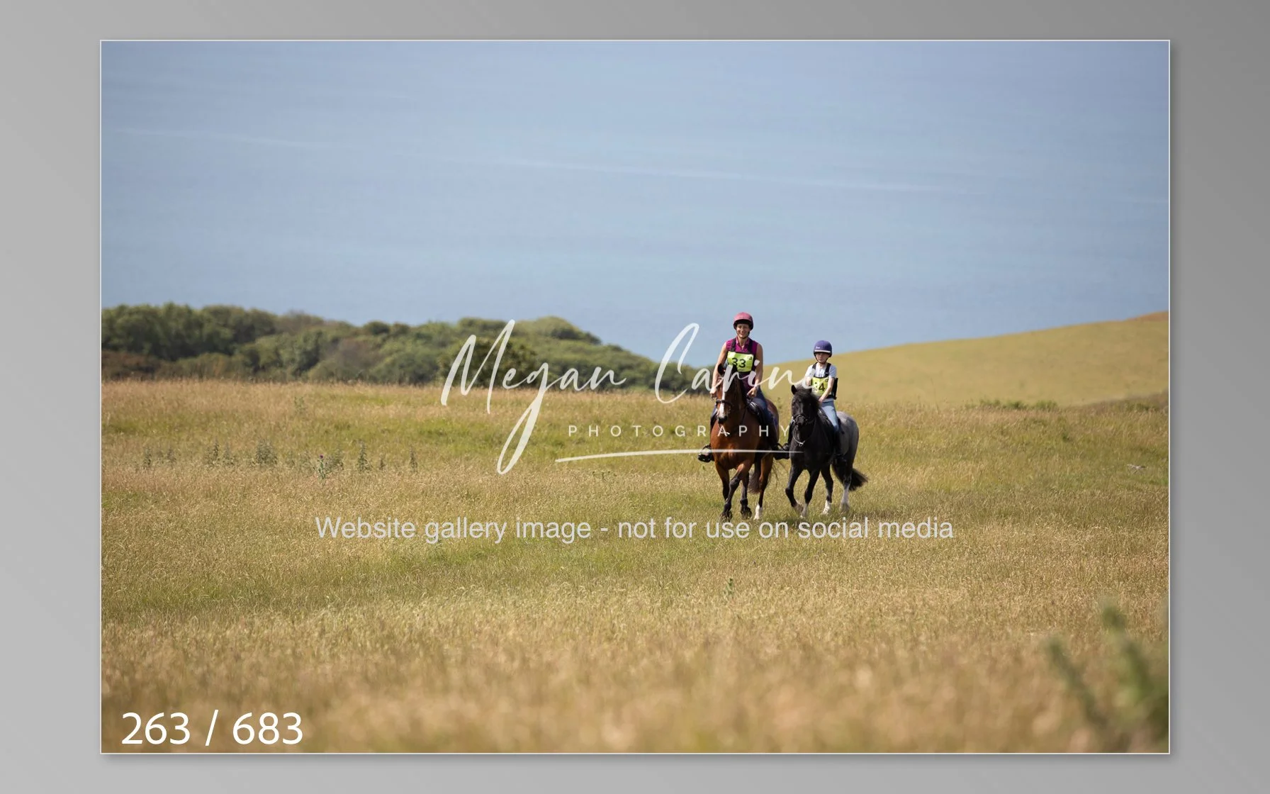 Abbotsbury-263.jpg